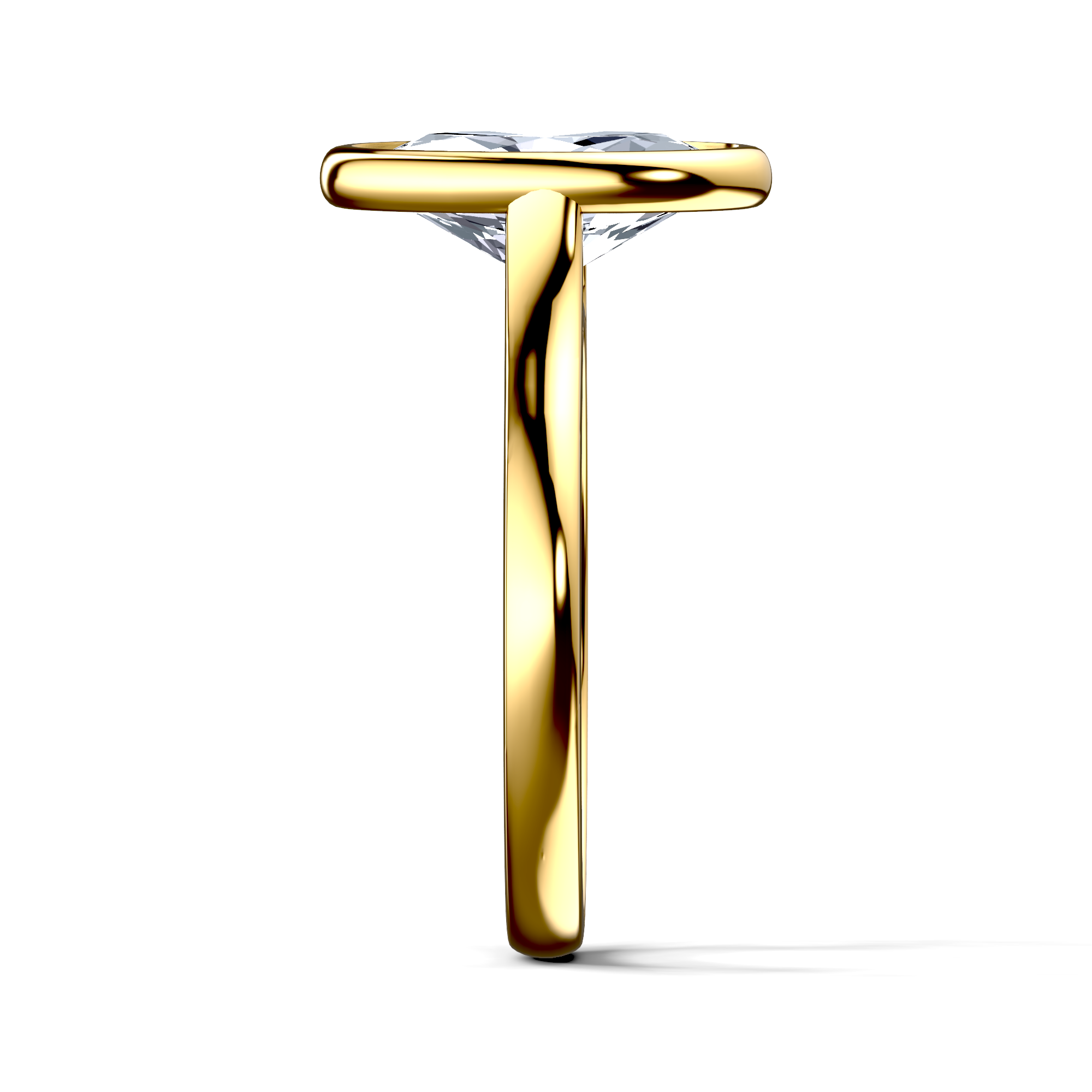 Image for The Iris