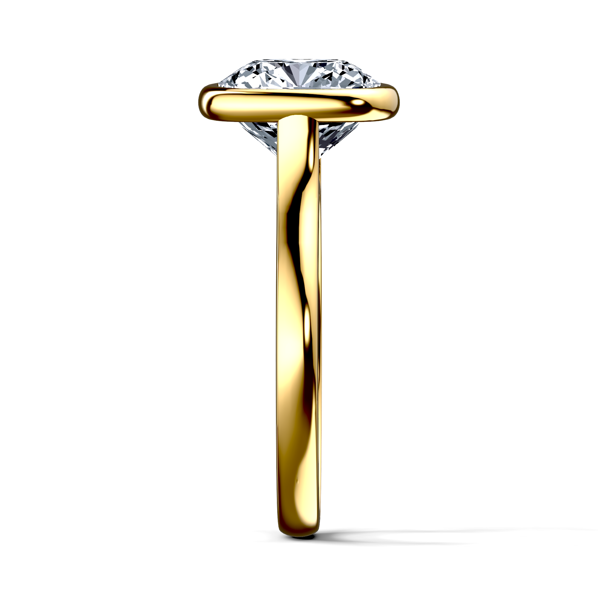 Image for The Iris