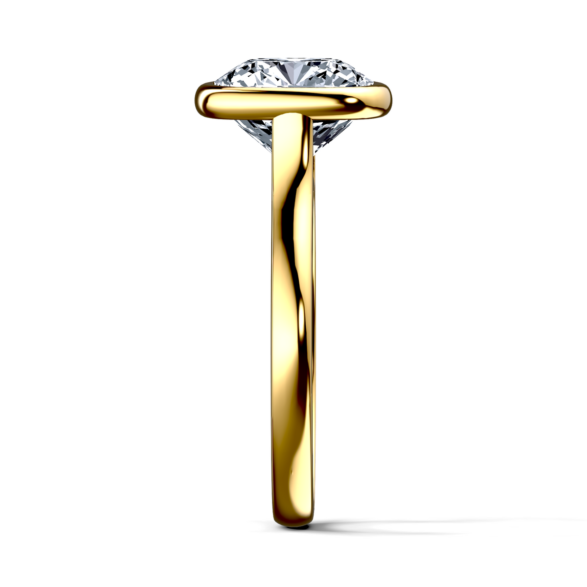 Image for The Iris