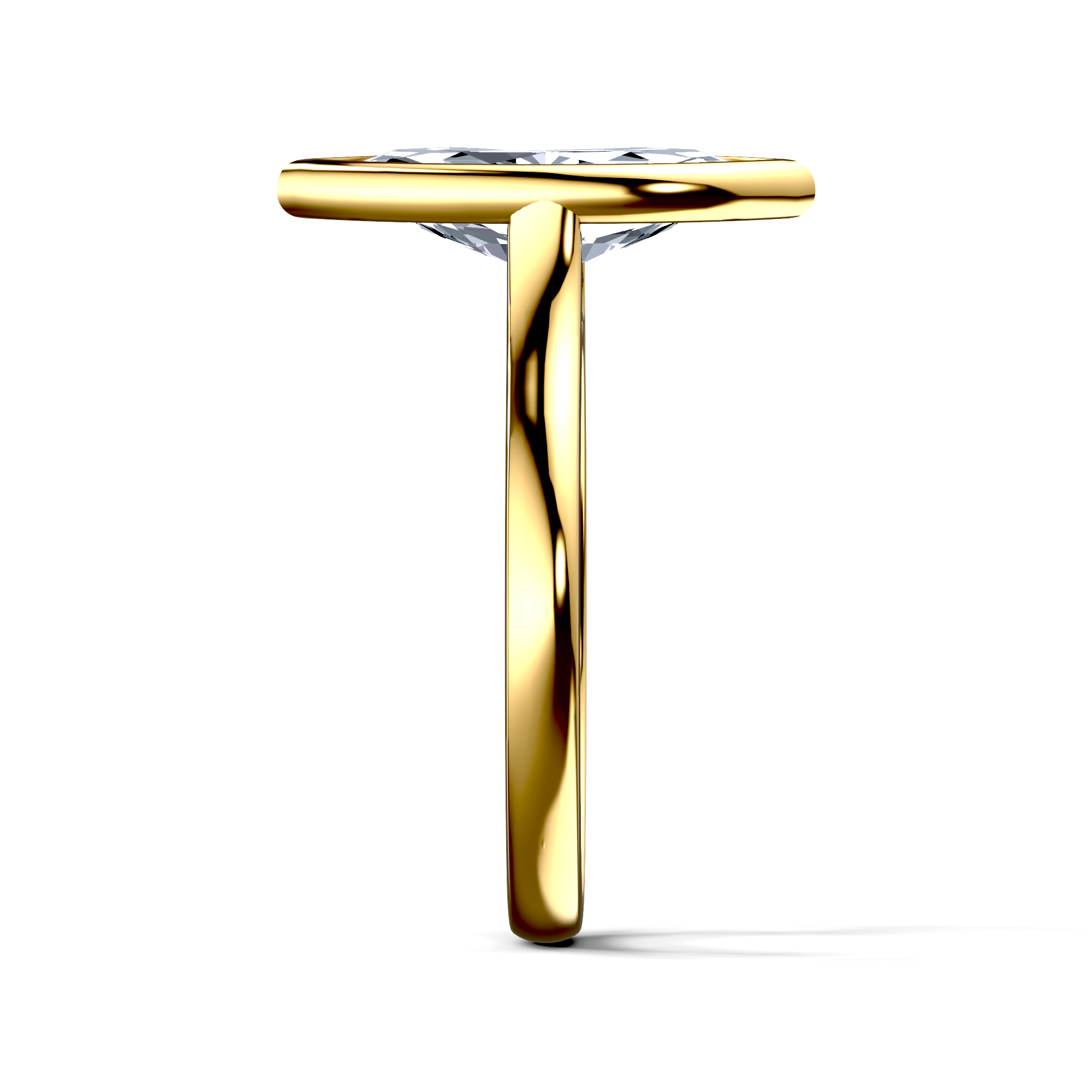 Image for The Iris