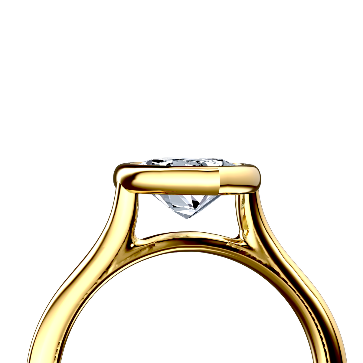 Image for The Iris