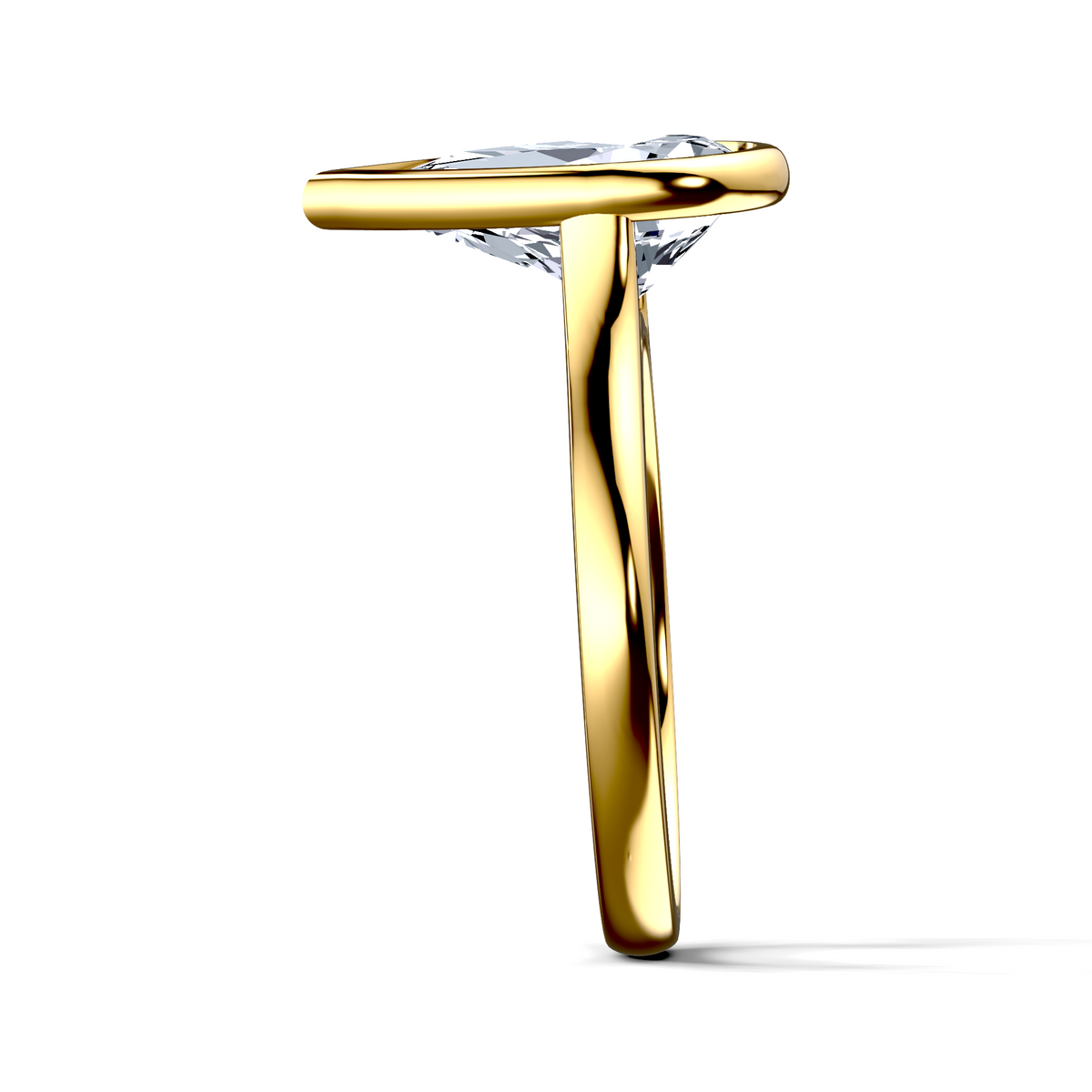 Image for The Iris