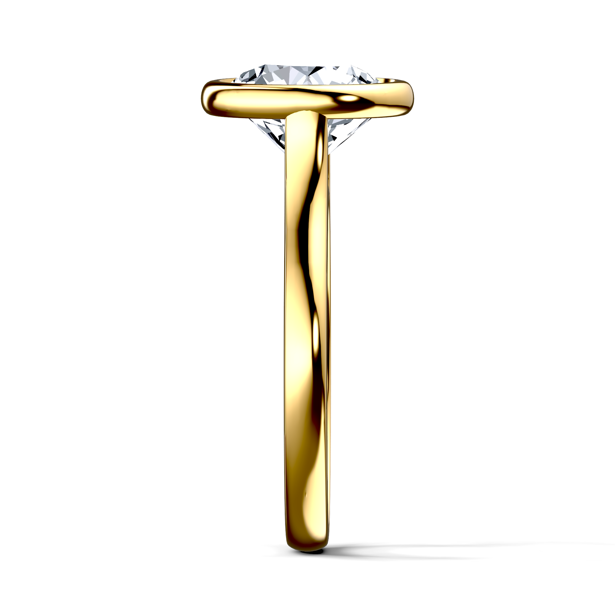 Image for The Iris