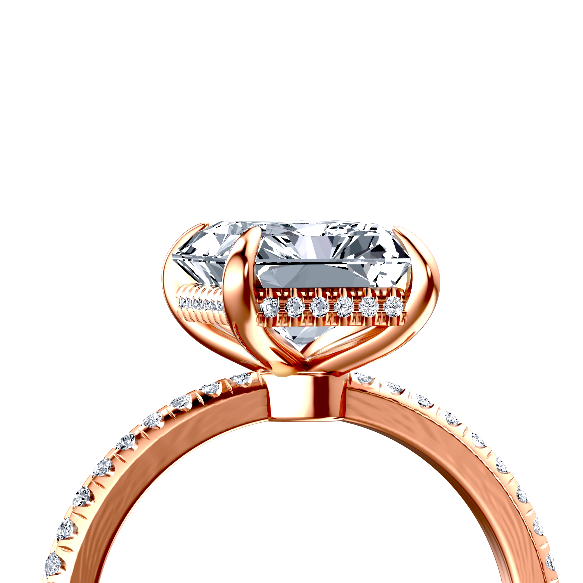 Image for The Celeste