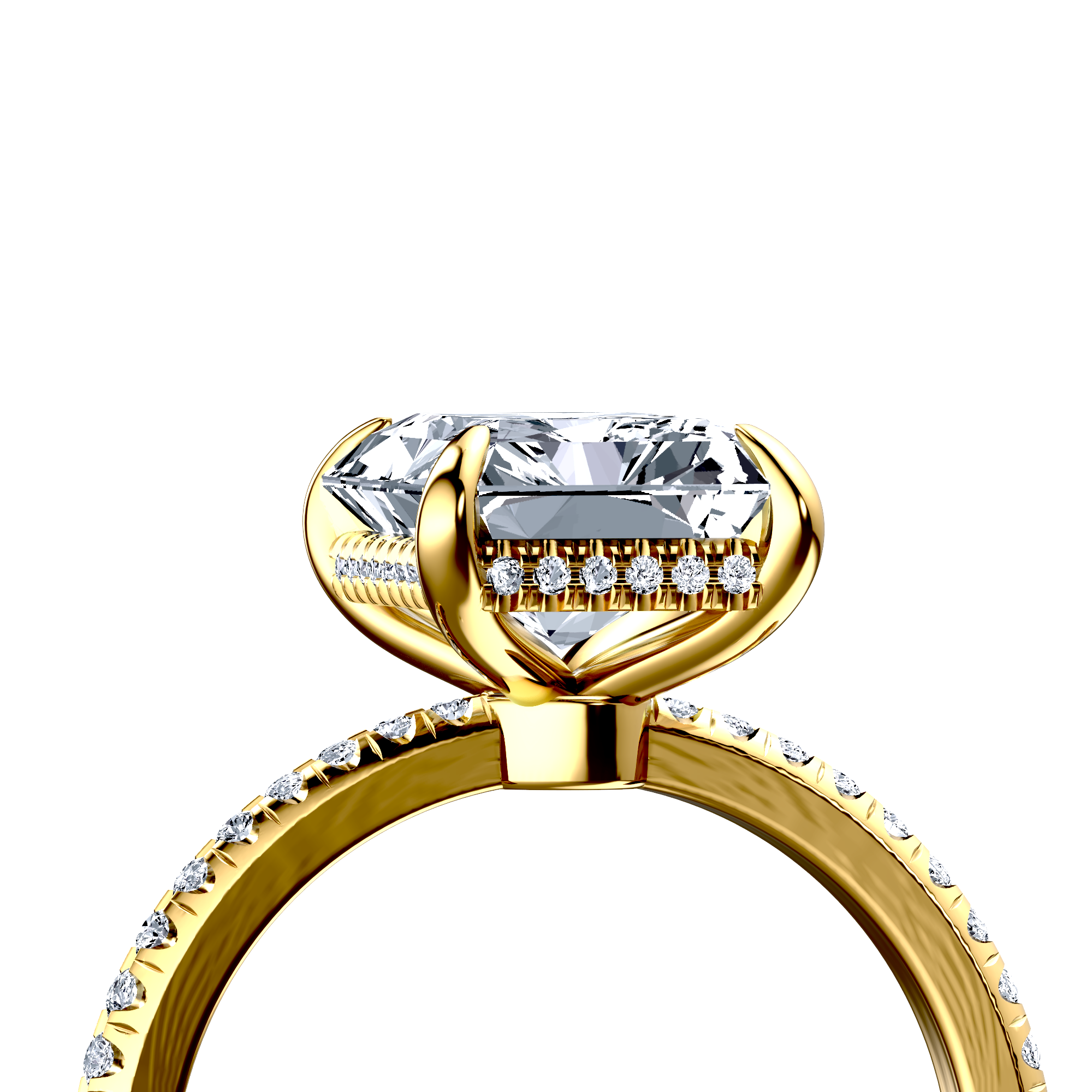 Image for The Celeste