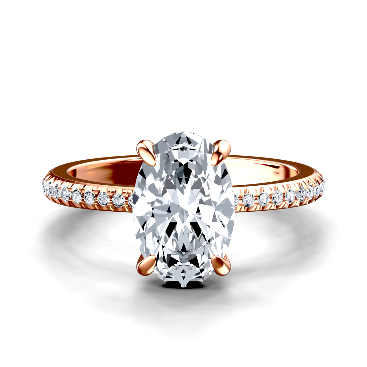 Image for The Celeste