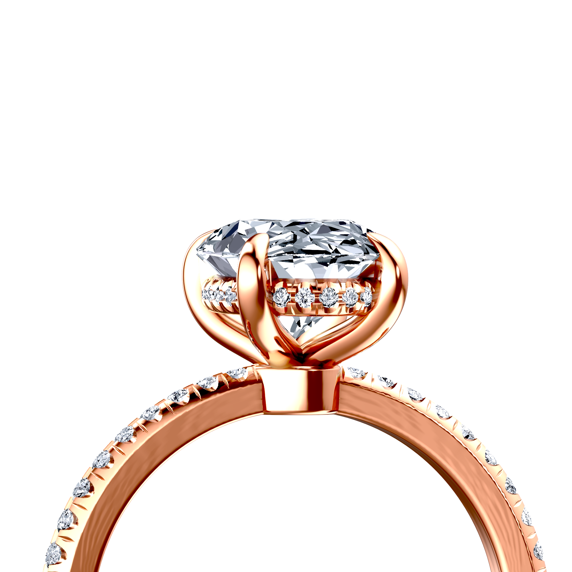 Image for The Celeste