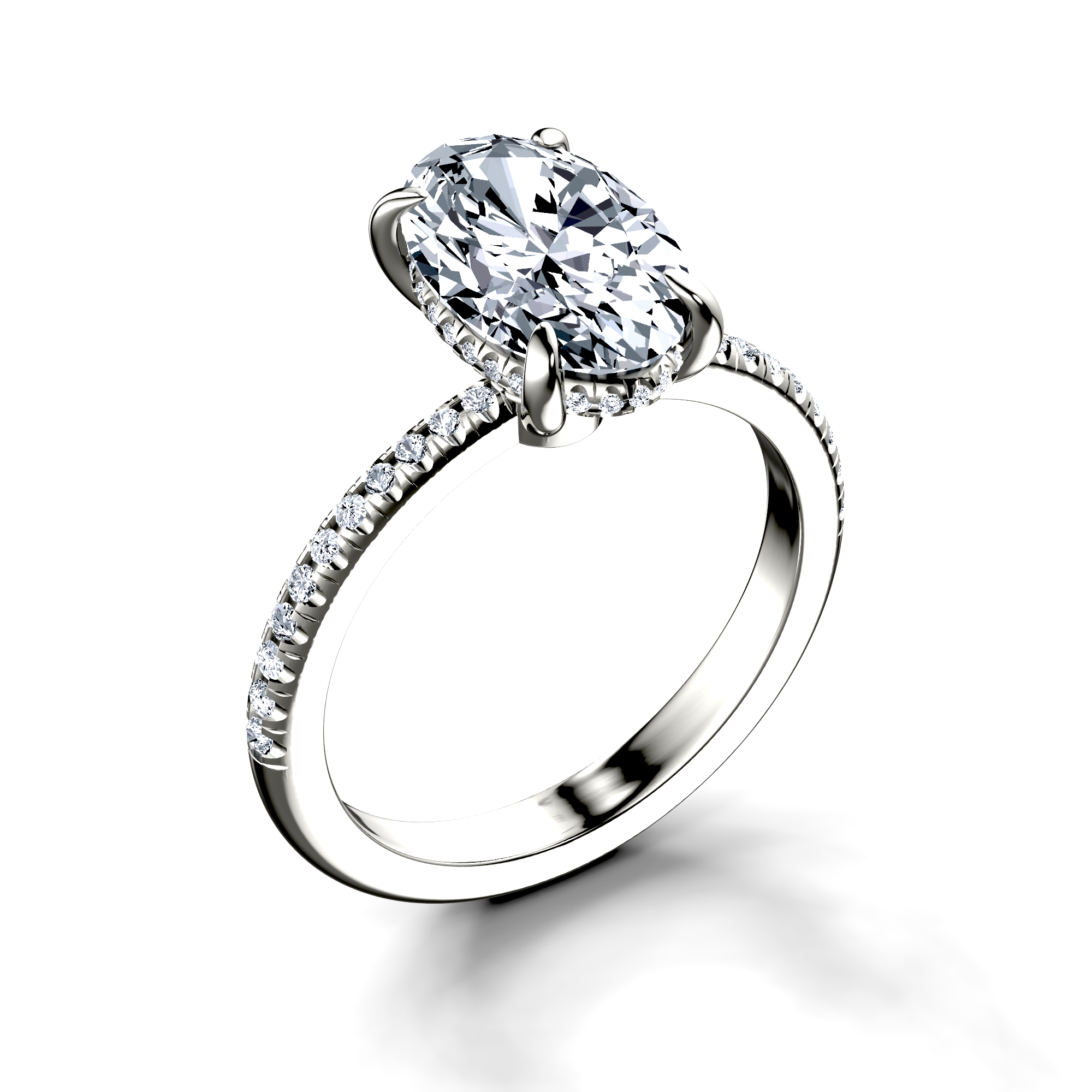 Image for The Celeste