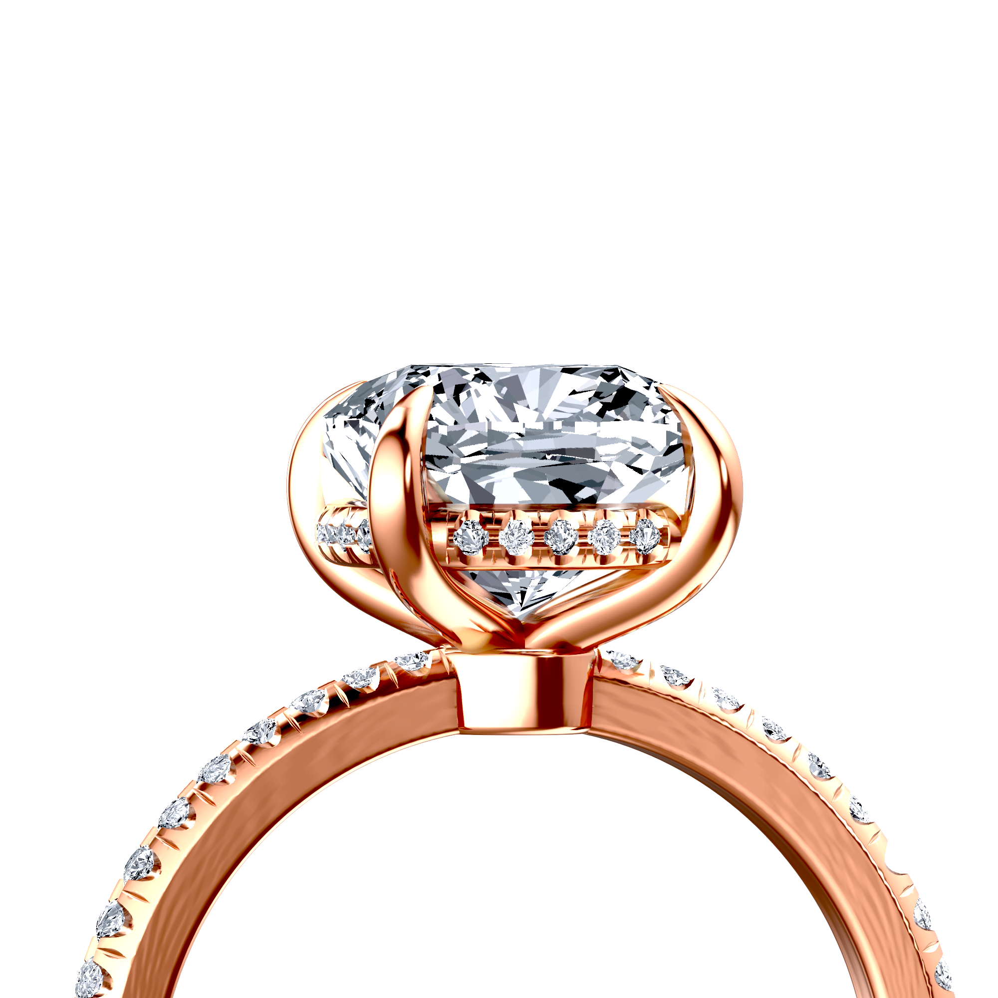 Image for The Celeste