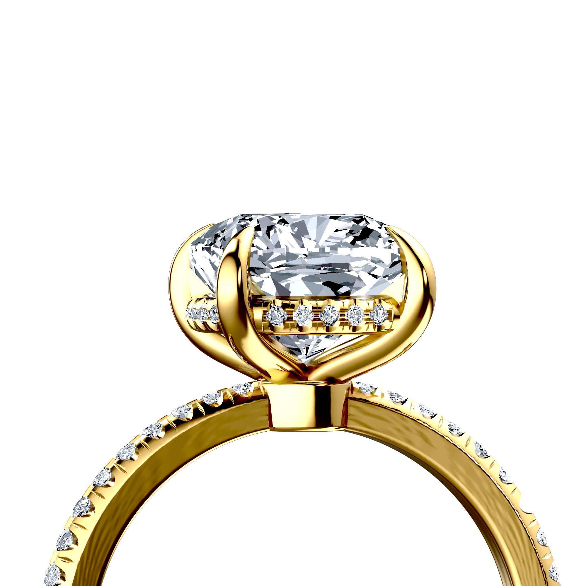 Image for The Celeste