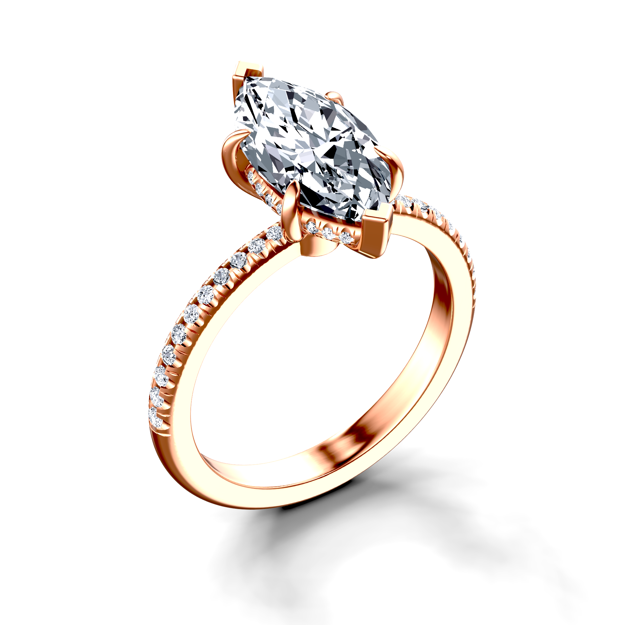 Image for The Celeste