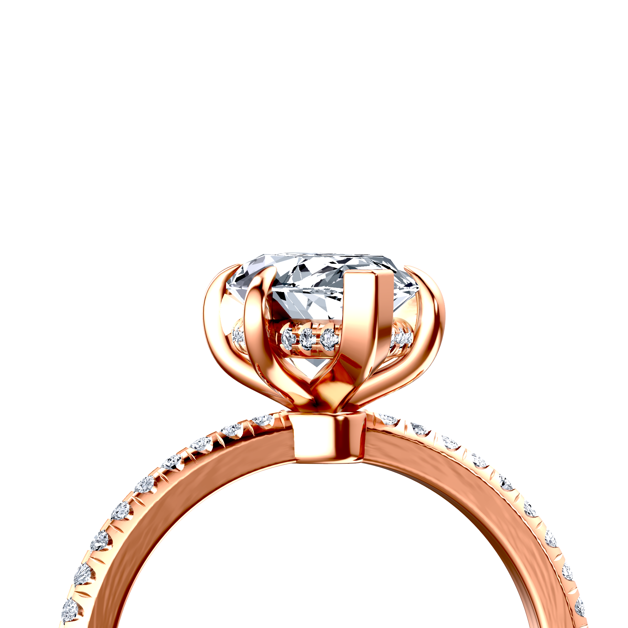 Image for The Celeste