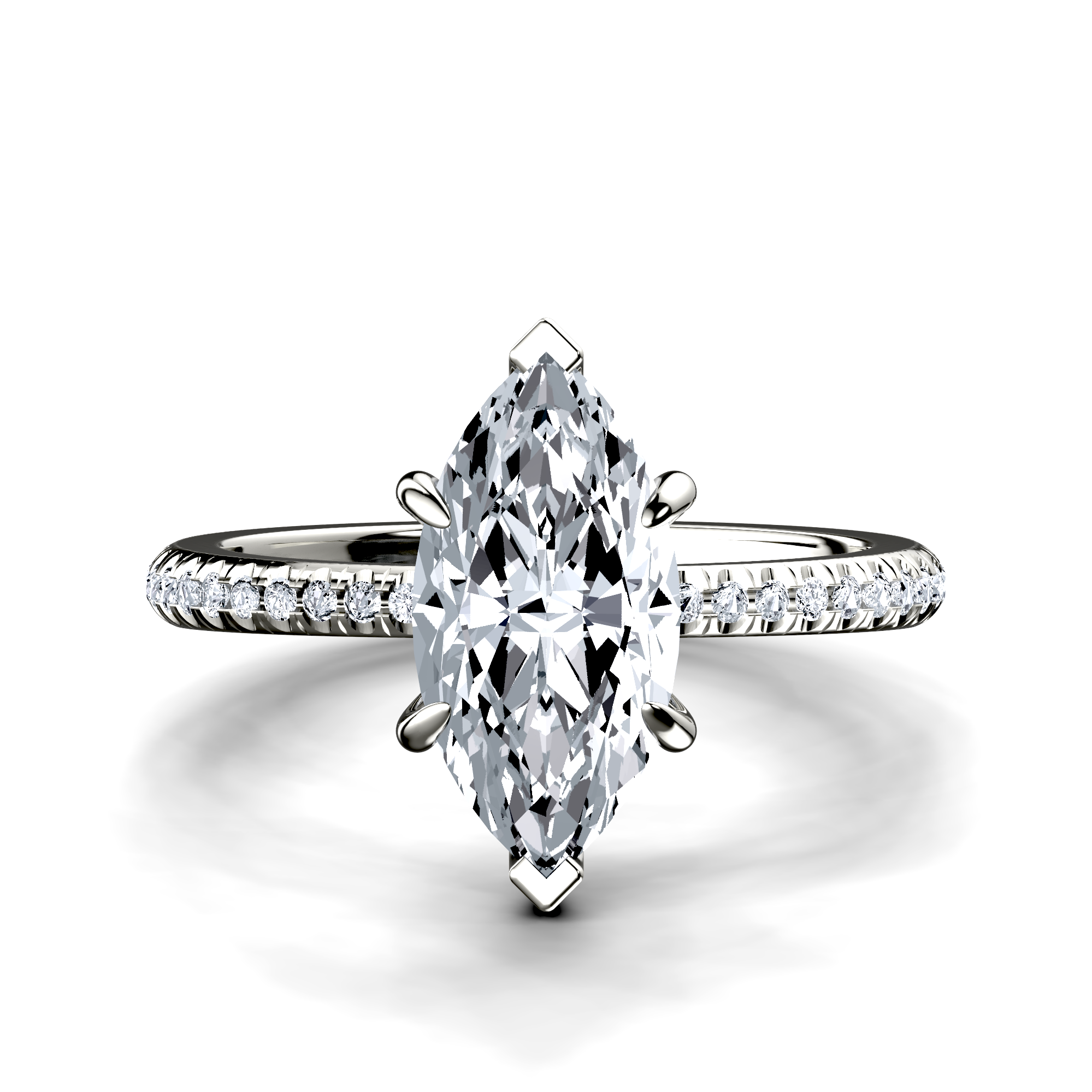 Image for The Celeste