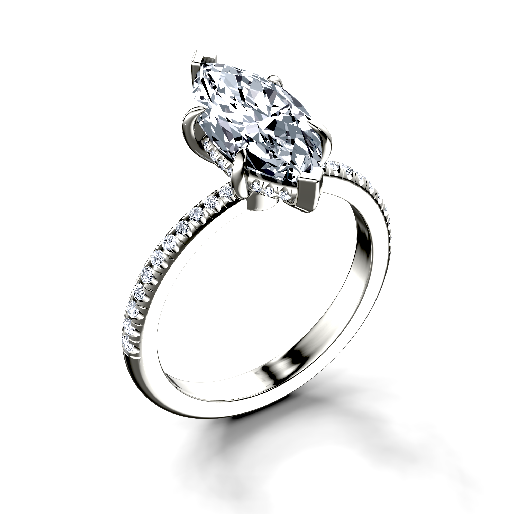 Image for The Celeste