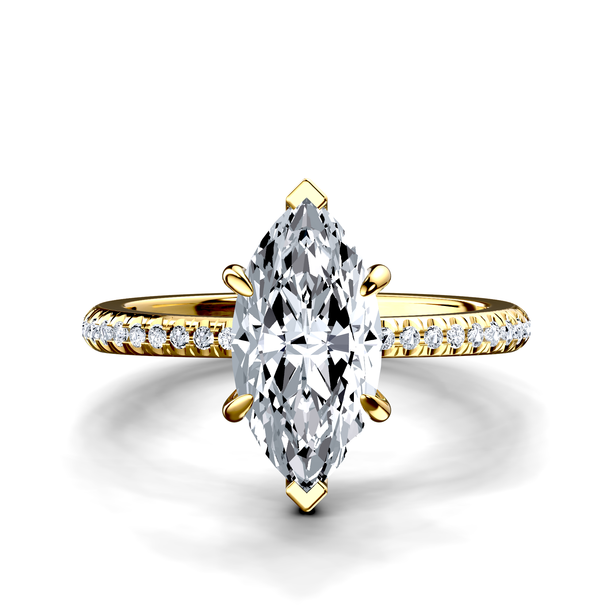 Image for The Celeste