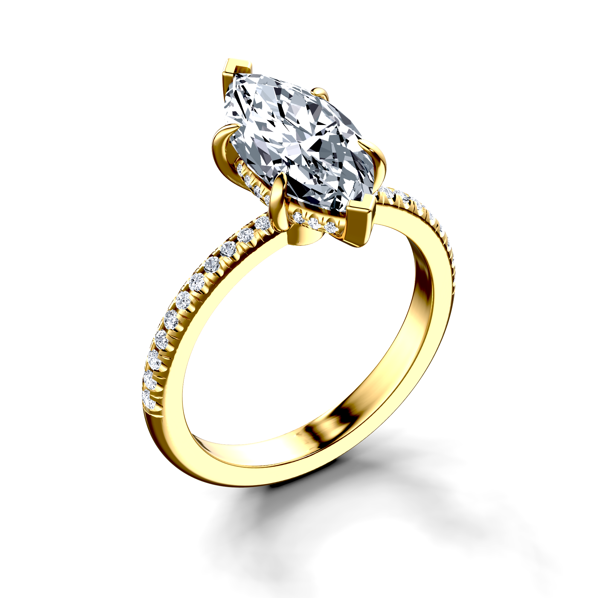 Image for The Celeste
