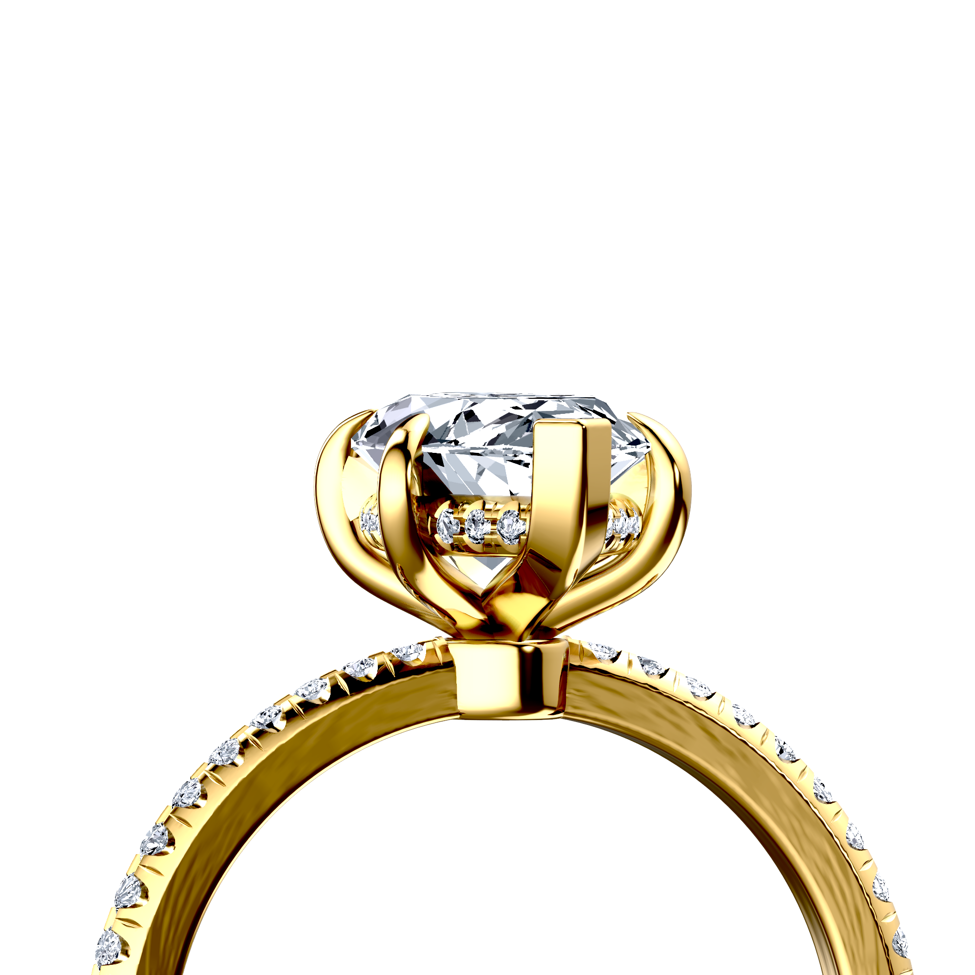 Image for The Celeste