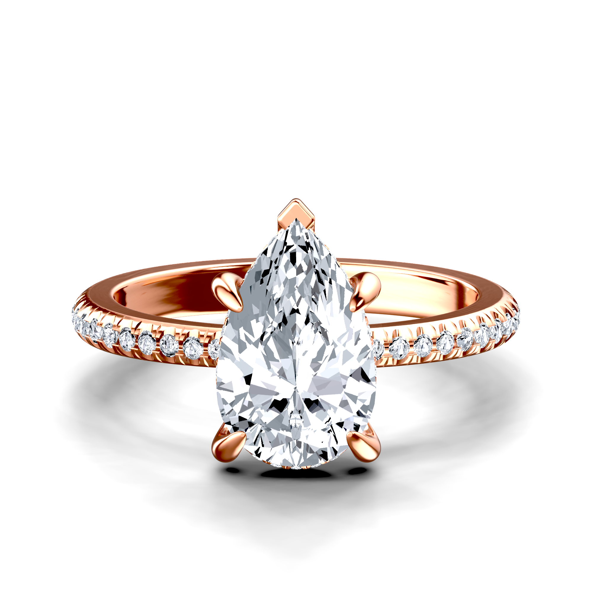 Image for The Celeste