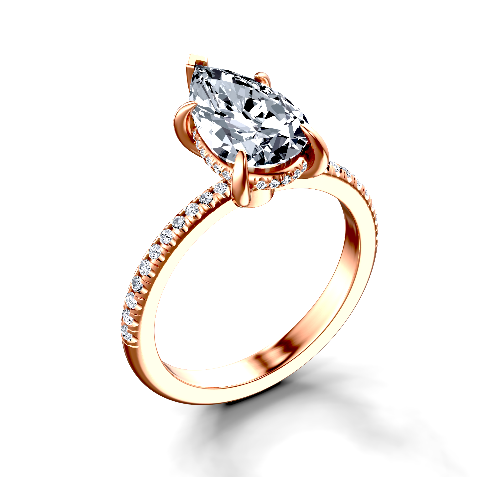 Image for The Celeste