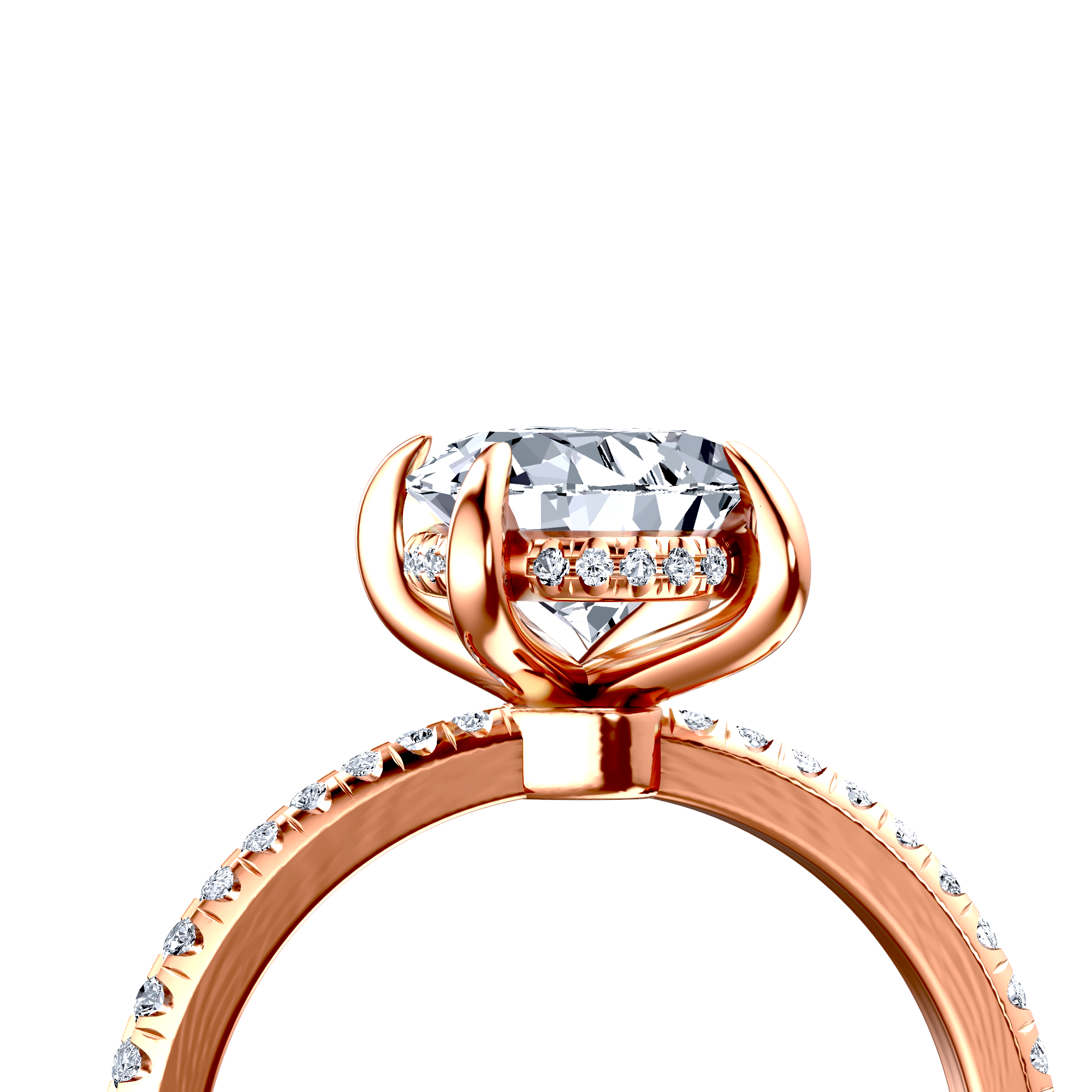 Image for The Celeste