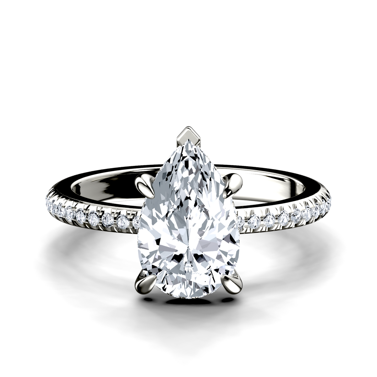Image for The Celeste