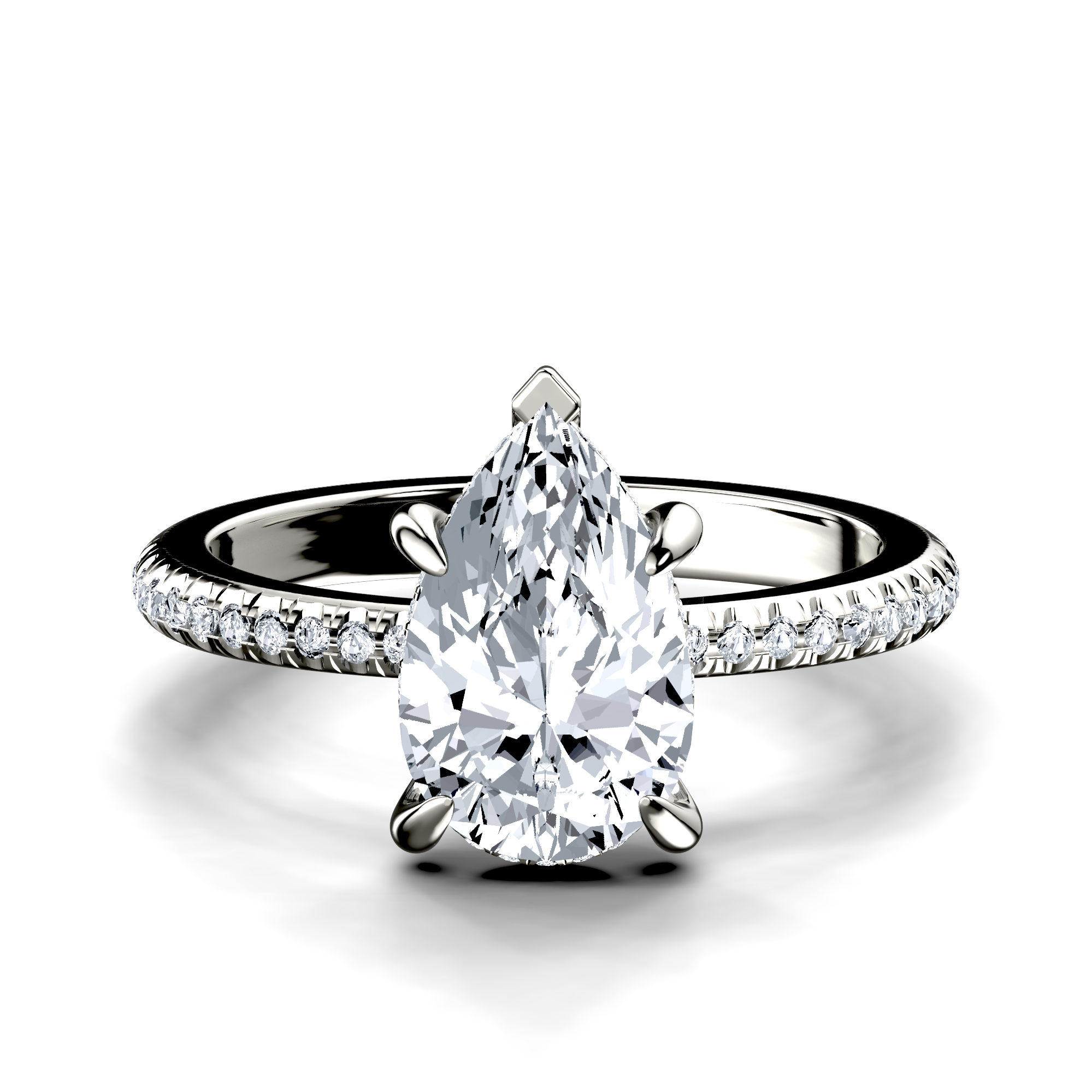 Image for The Celeste