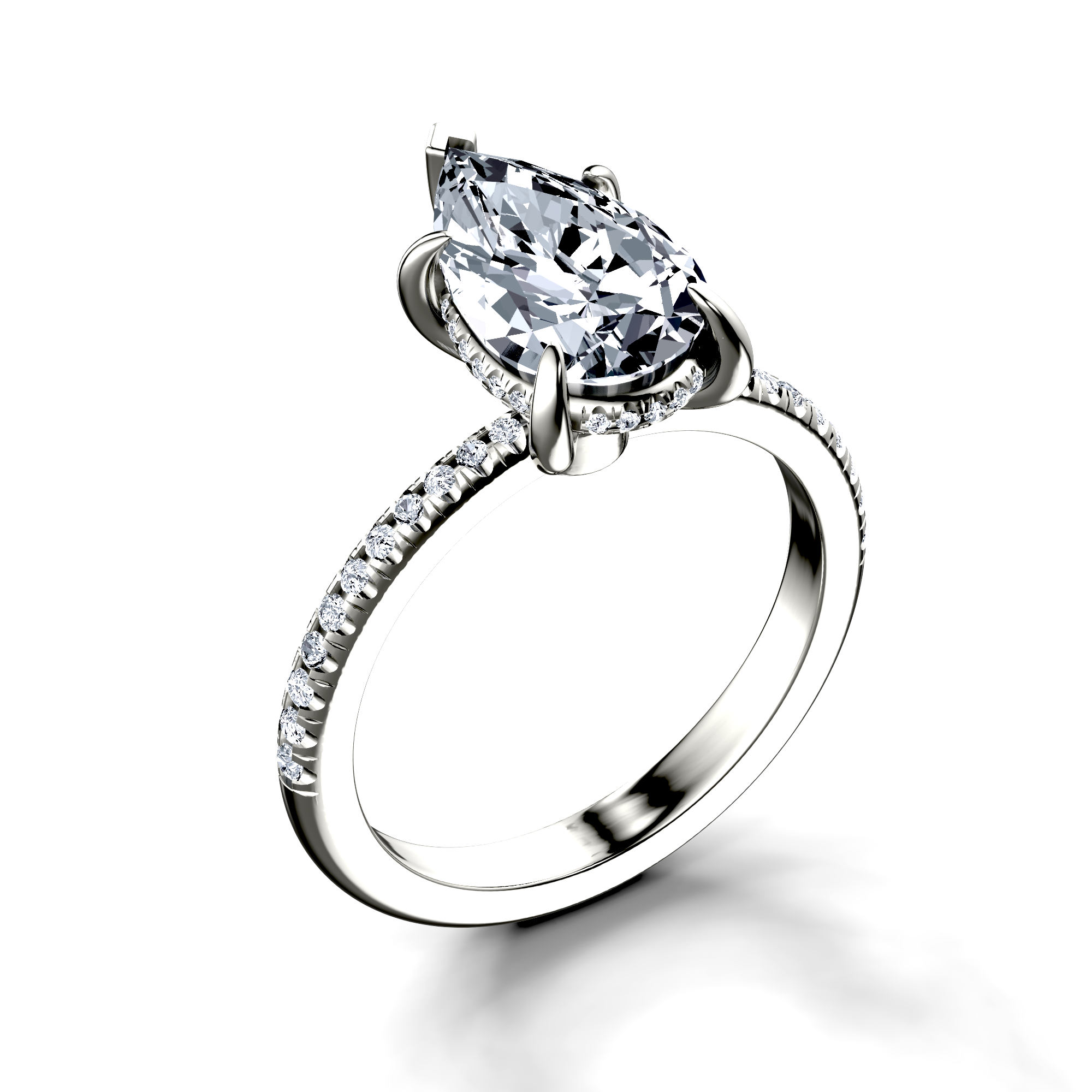 Image for The Celeste