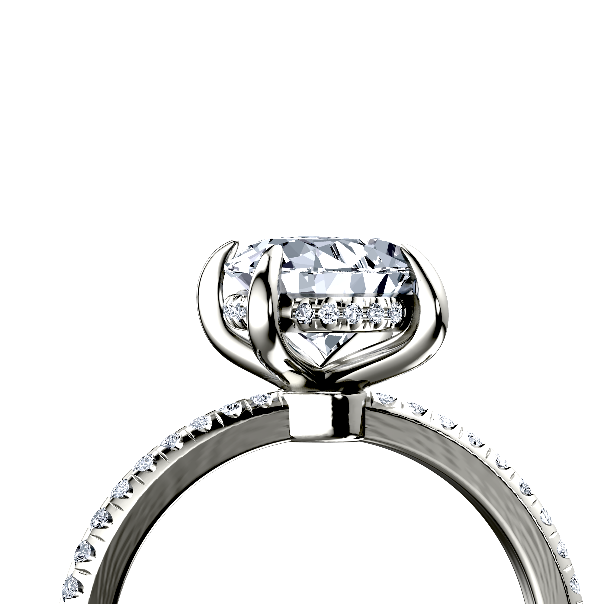 Image for The Celeste