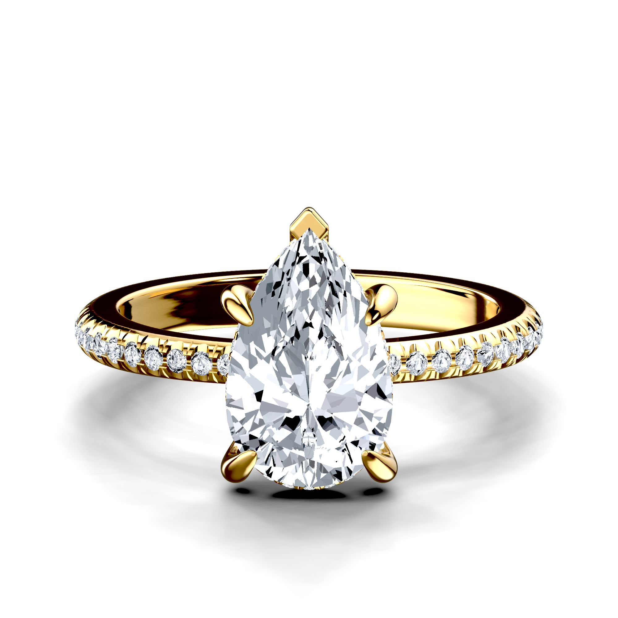 Image for The Celeste