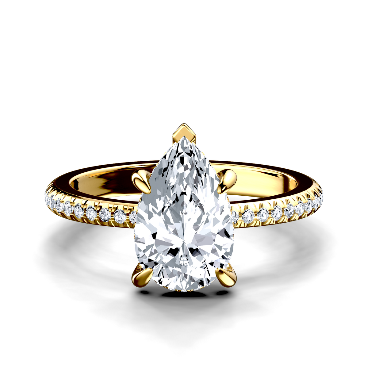 Image for The Celeste