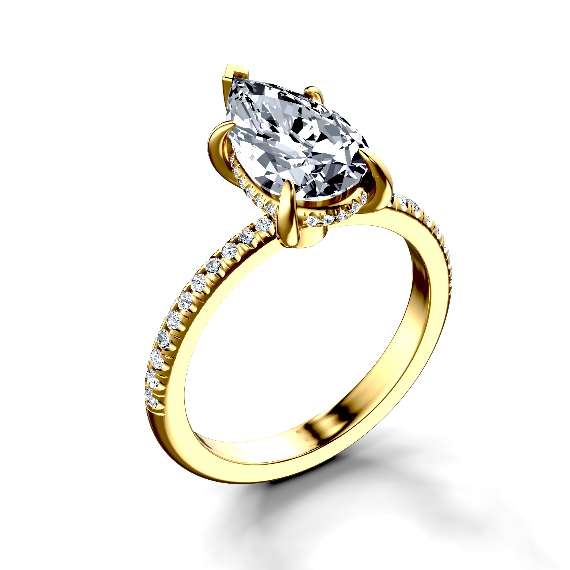 Image for The Celeste