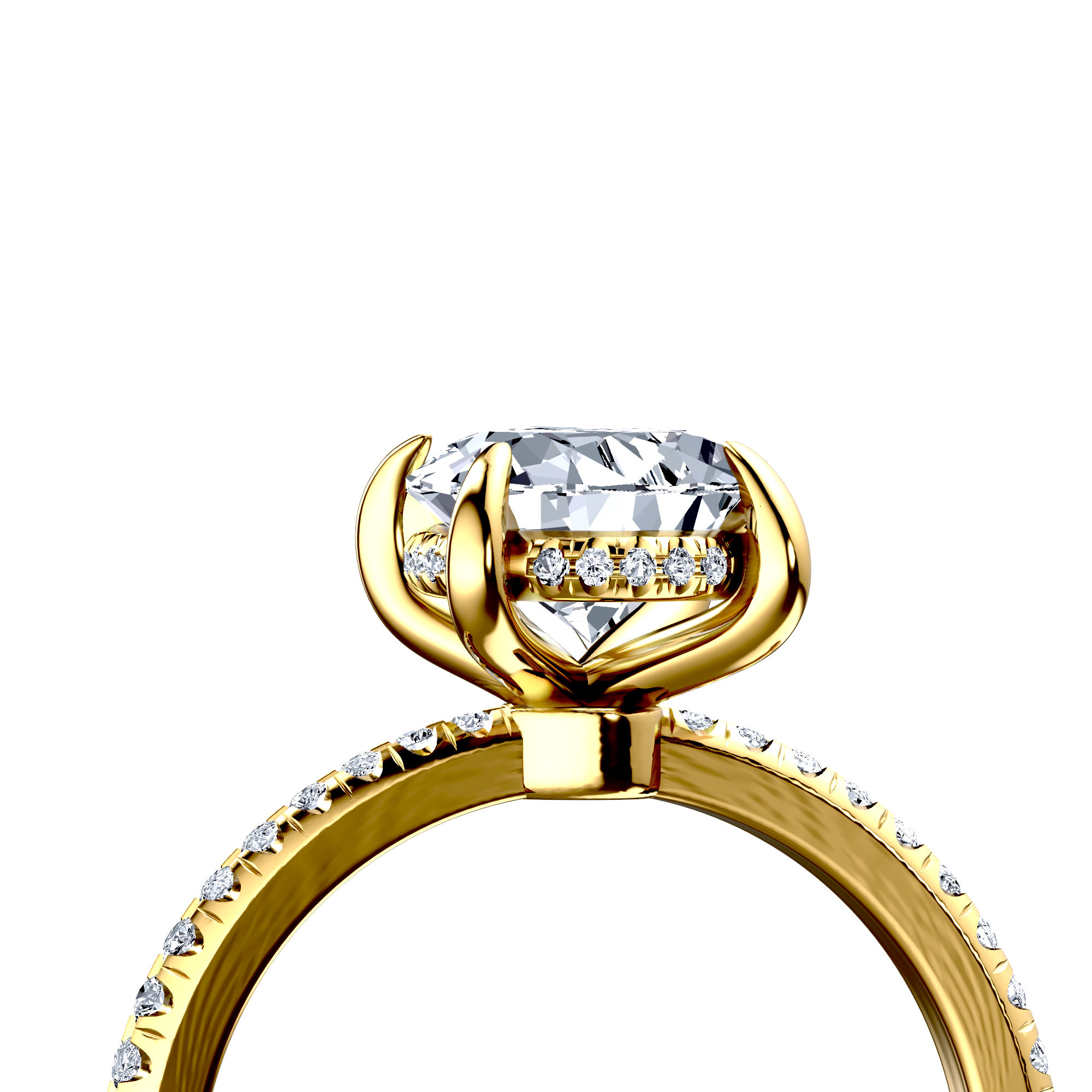 Image for The Celeste