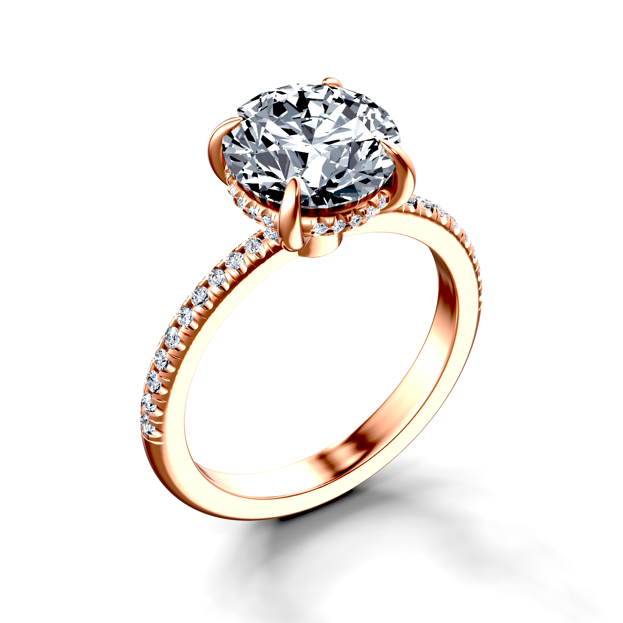 Image for The Celeste