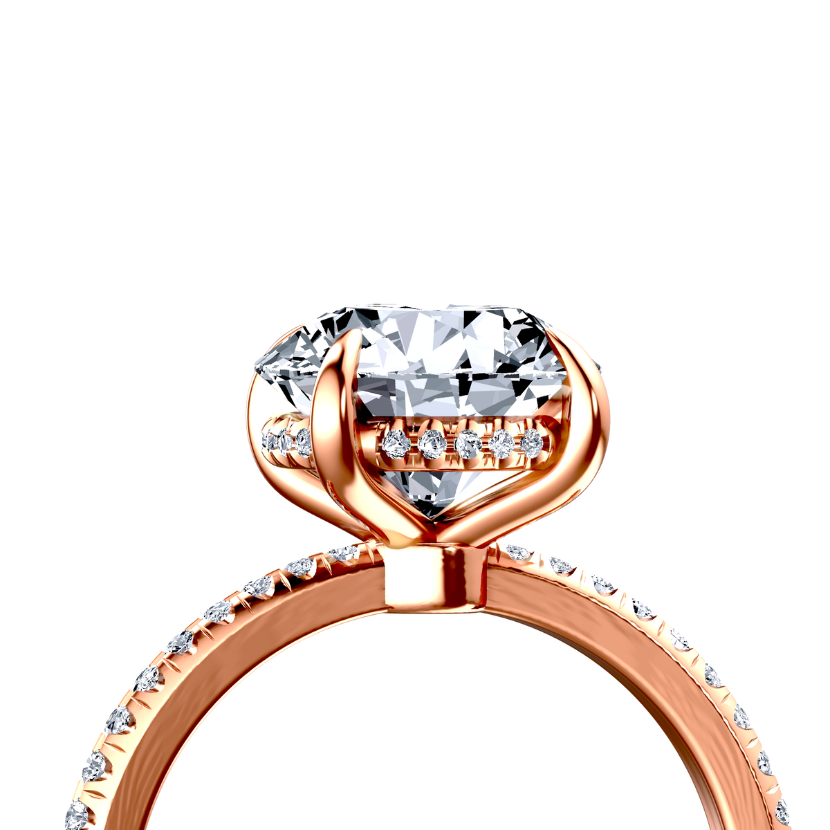 Image for The Celeste