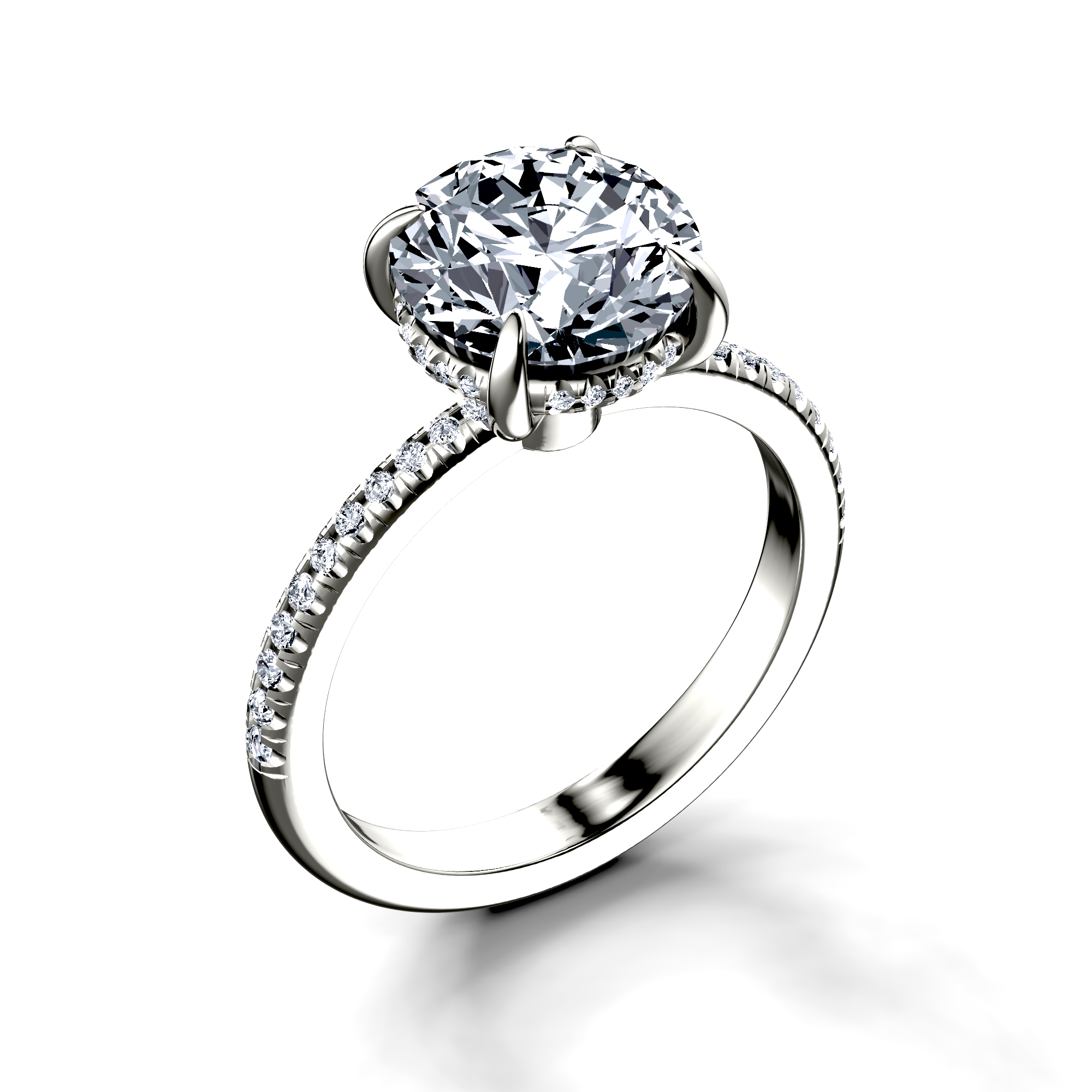 Image for The Celeste