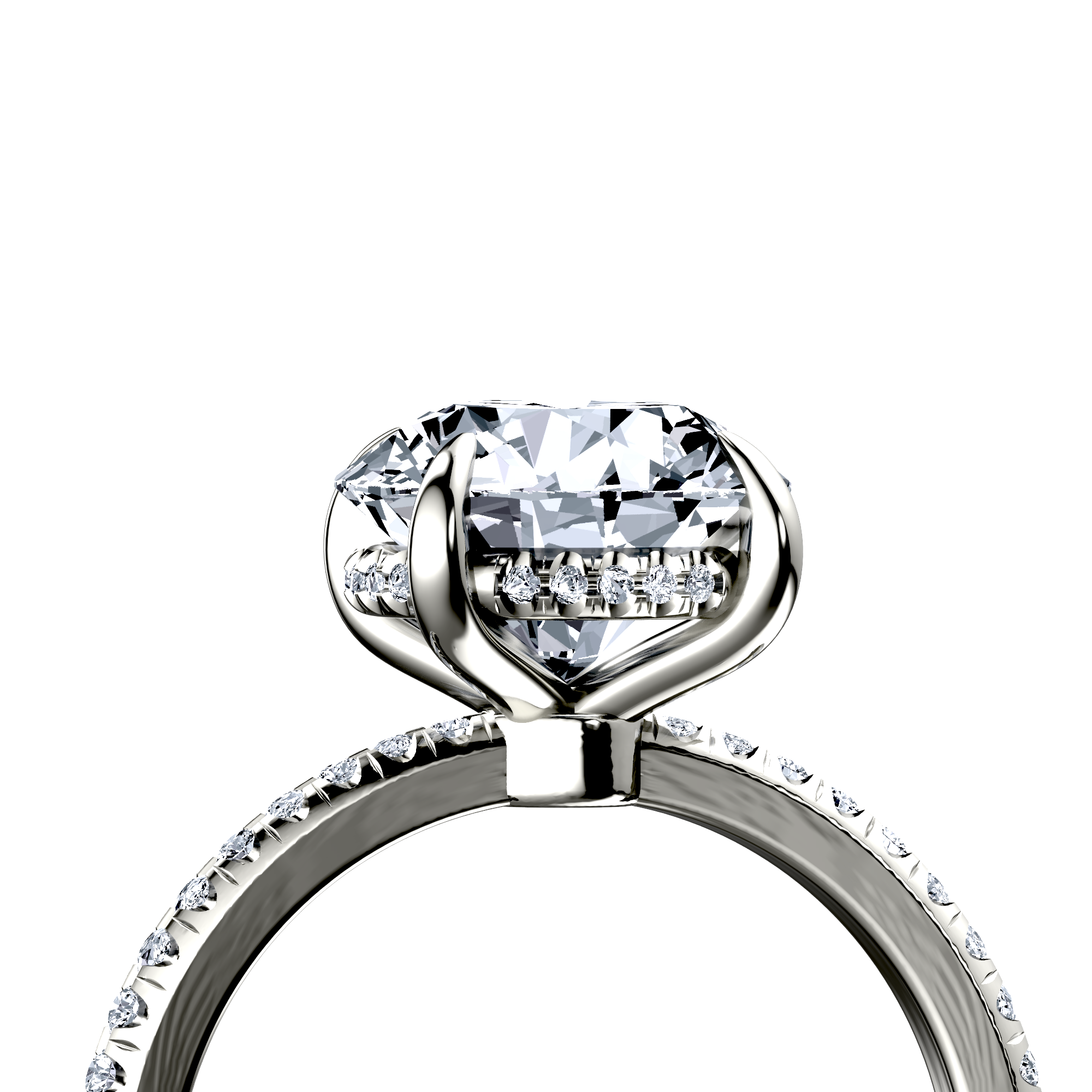 Image for The Celeste
