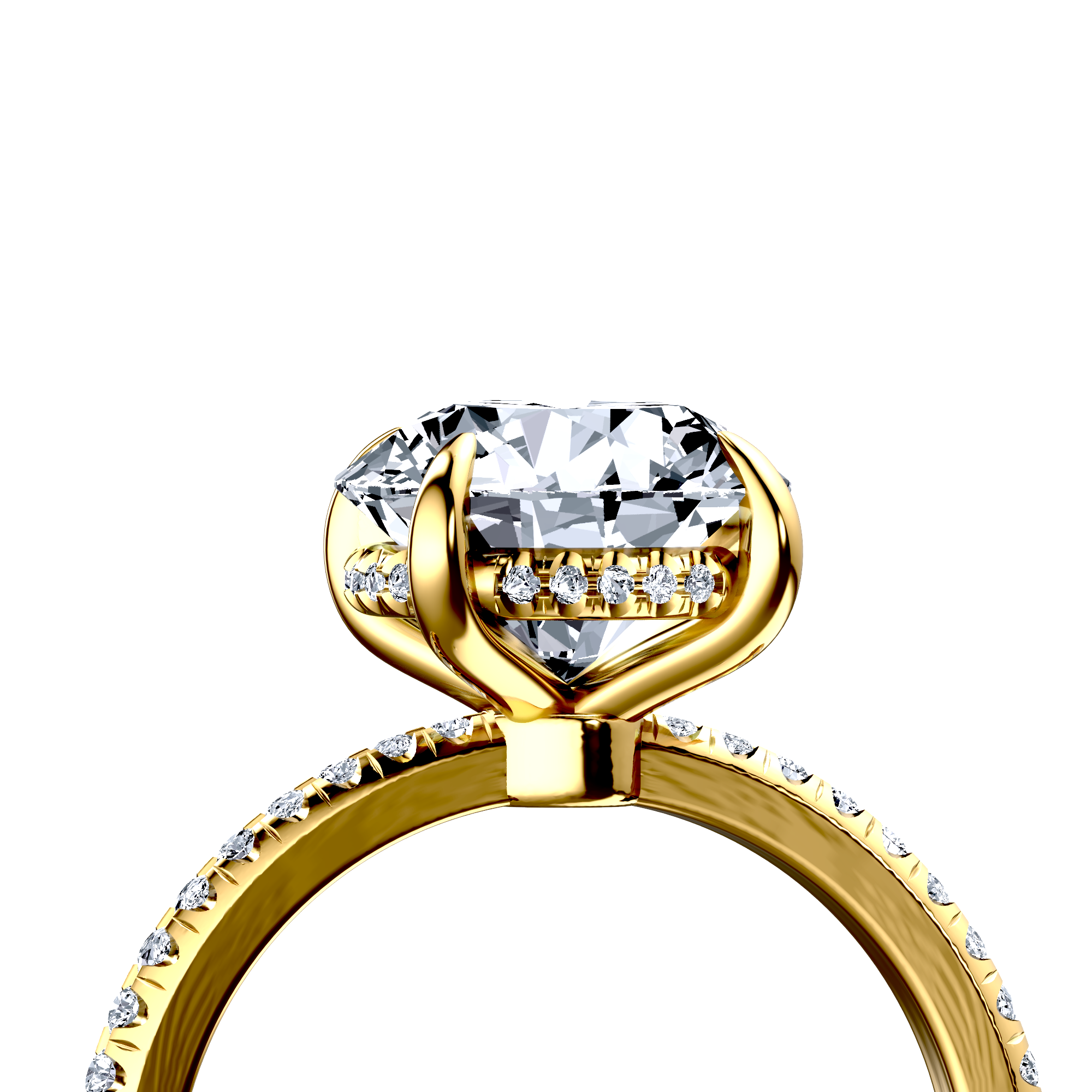 Image for The Celeste