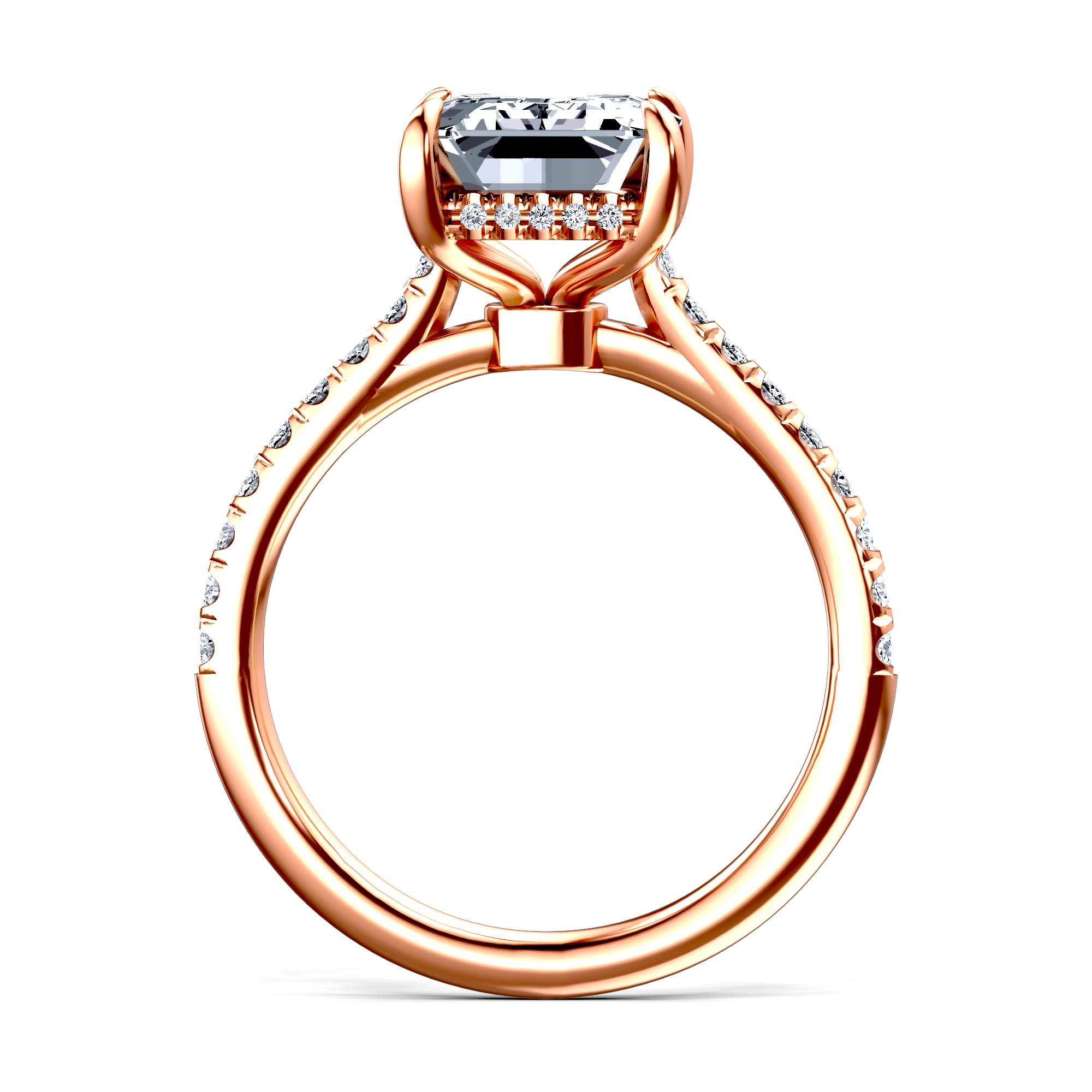 Image for The Althea