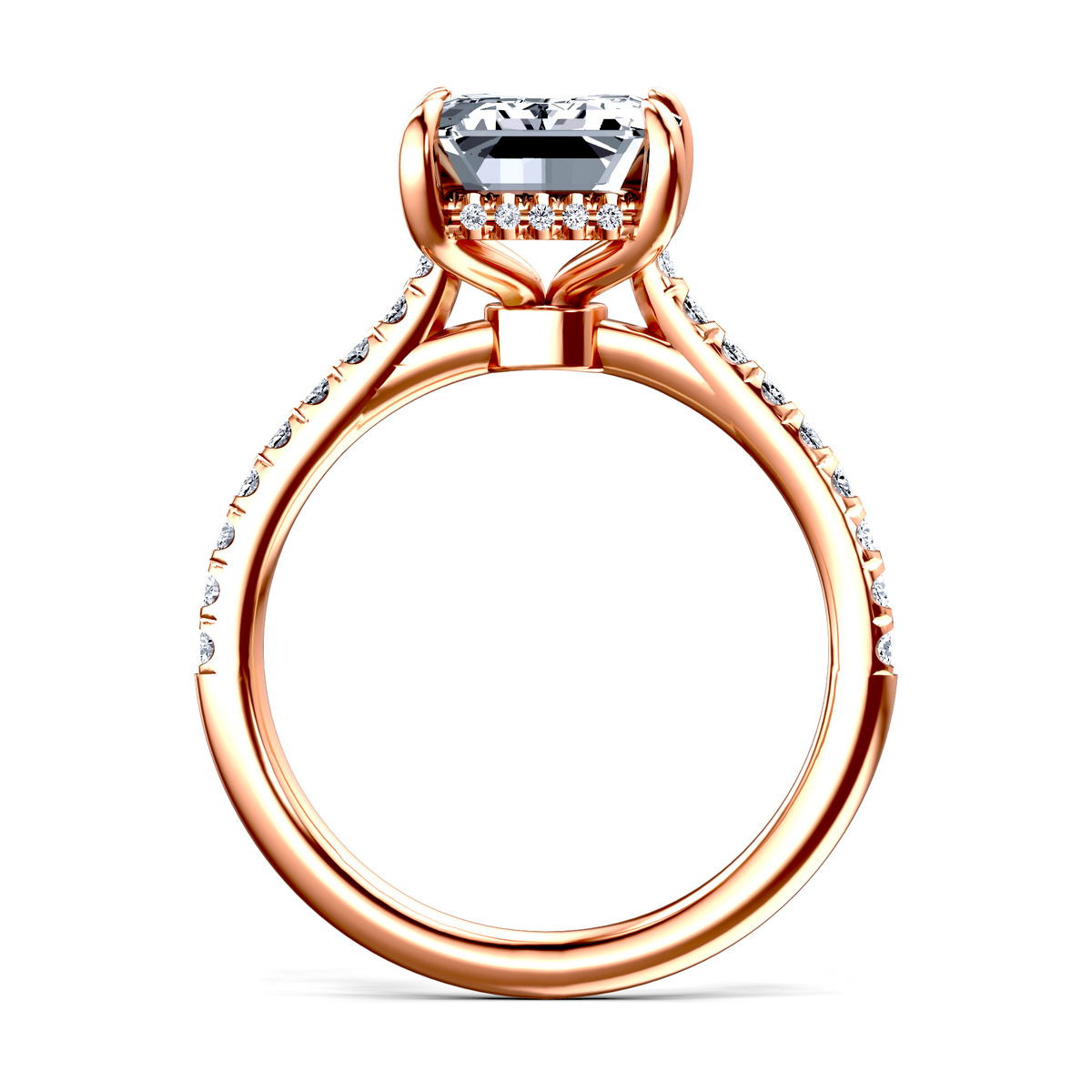 Image for The Althea