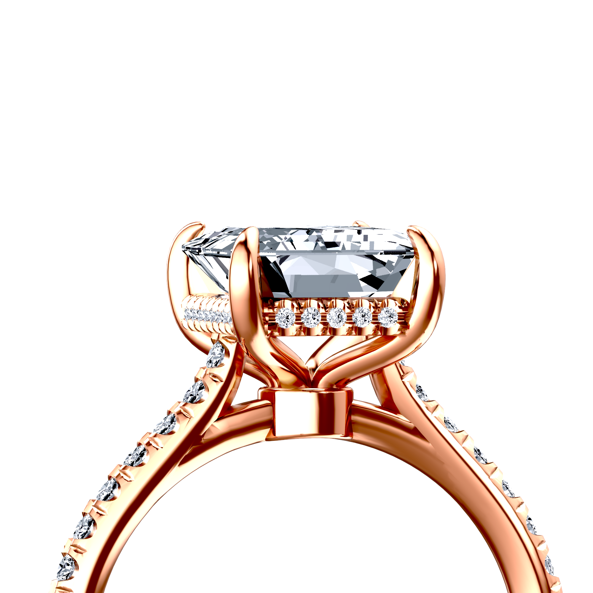 Image for The Althea