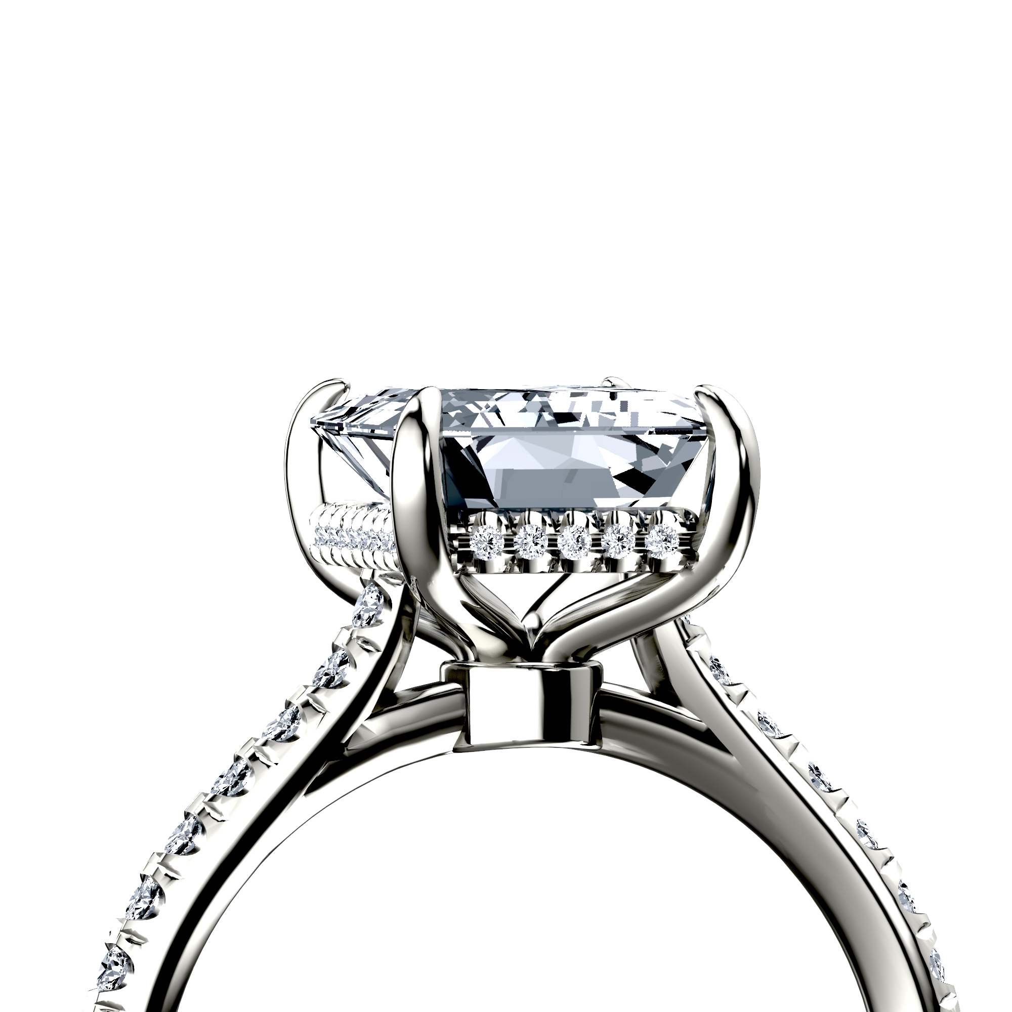 Image for The Althea