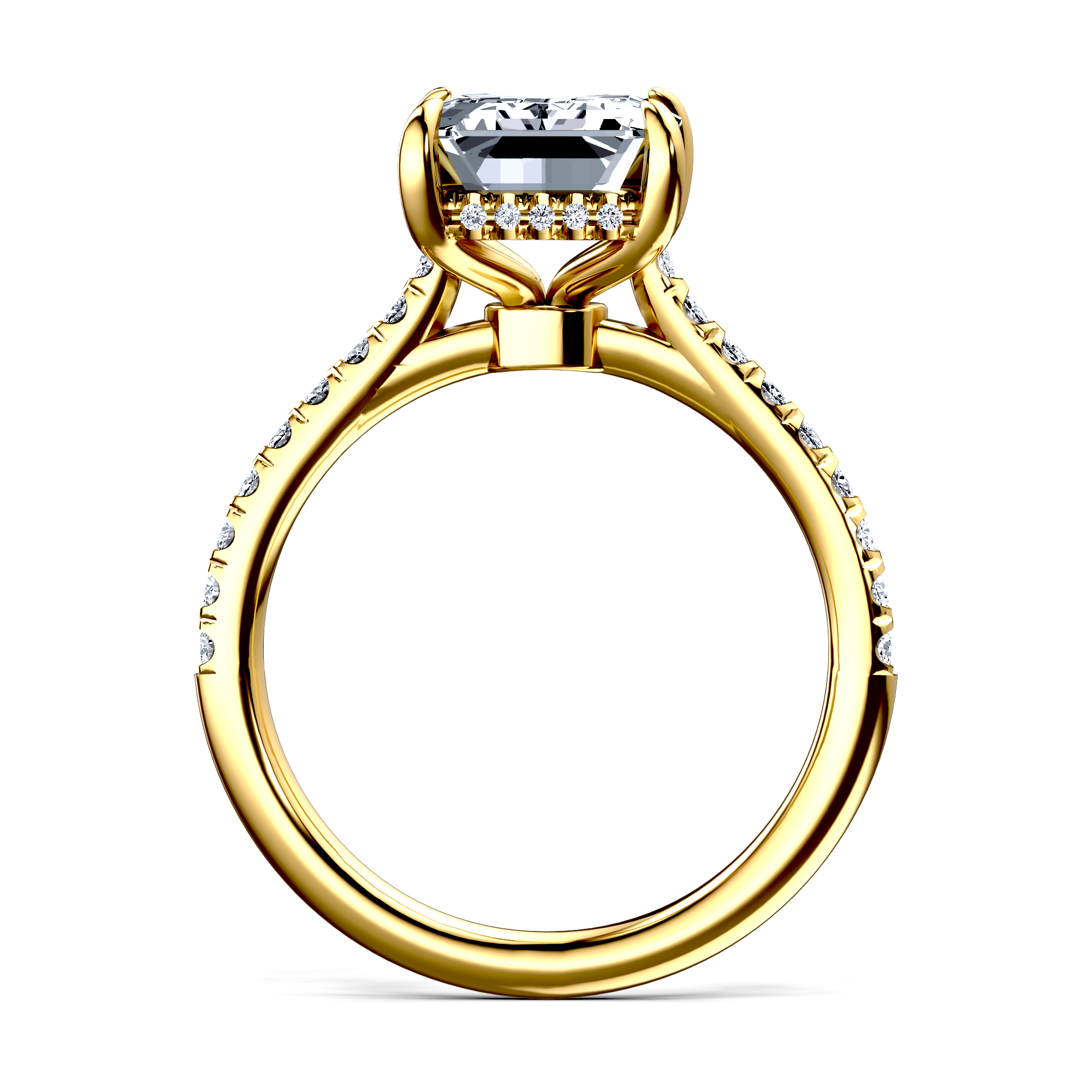 Image for The Althea