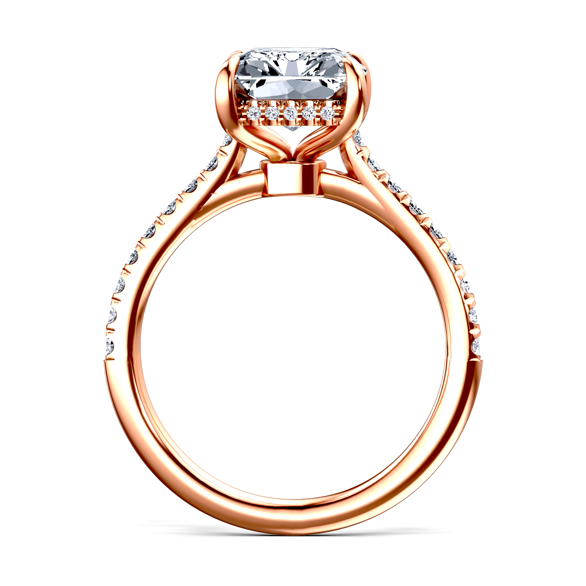 Image for The Althea