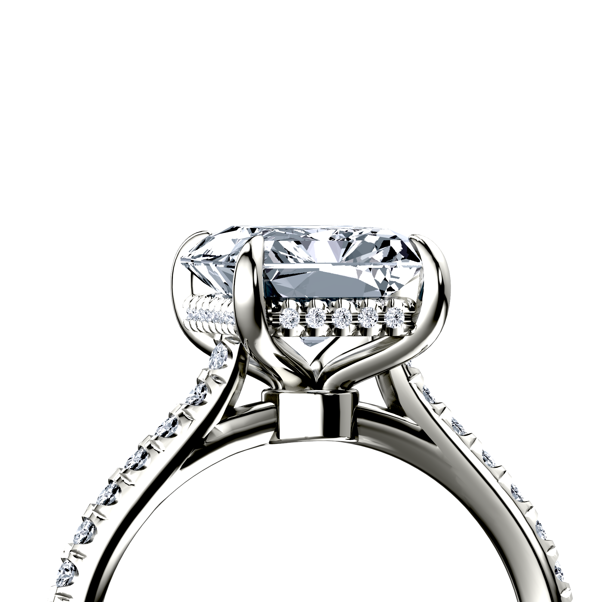 Image for The Althea