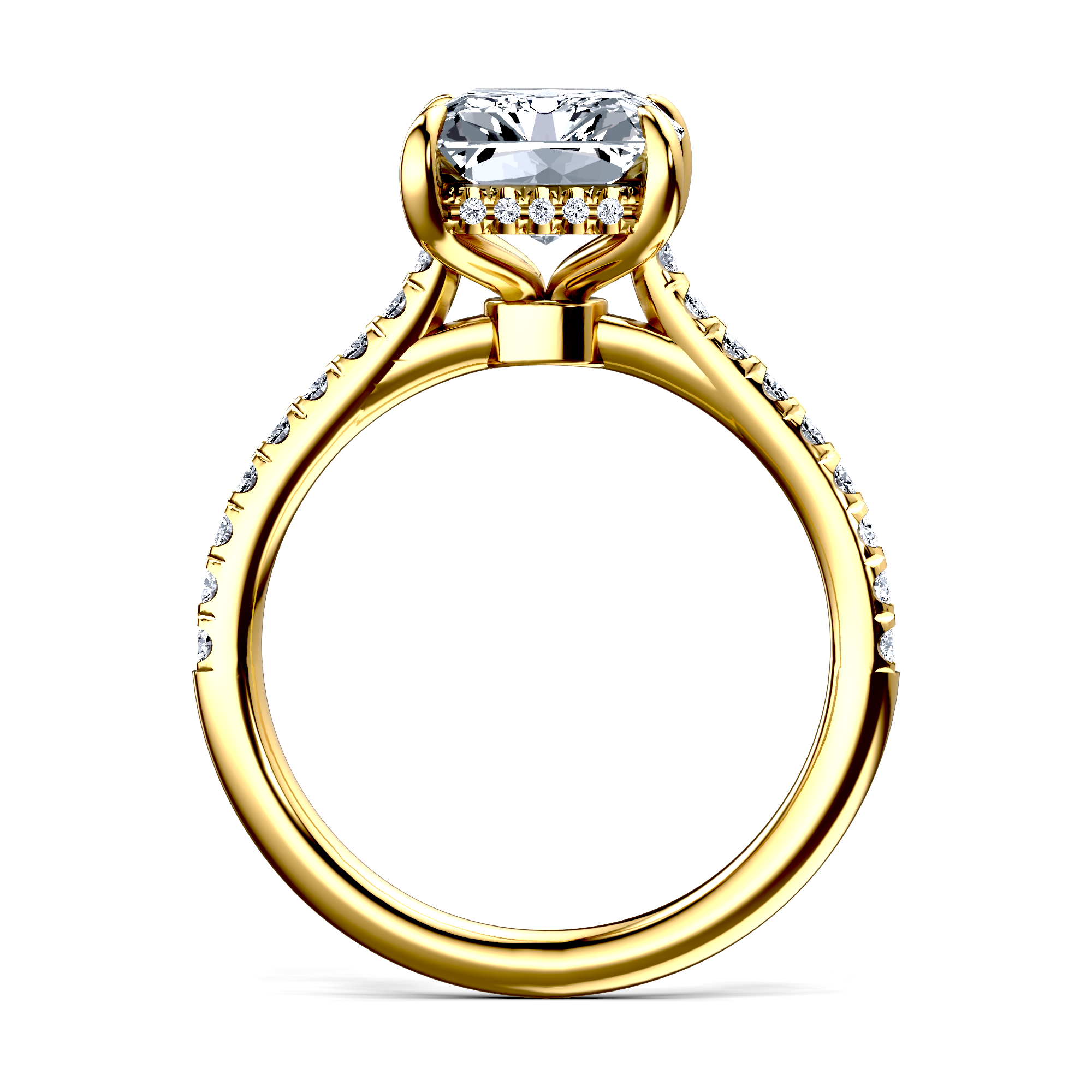 Image for The Althea