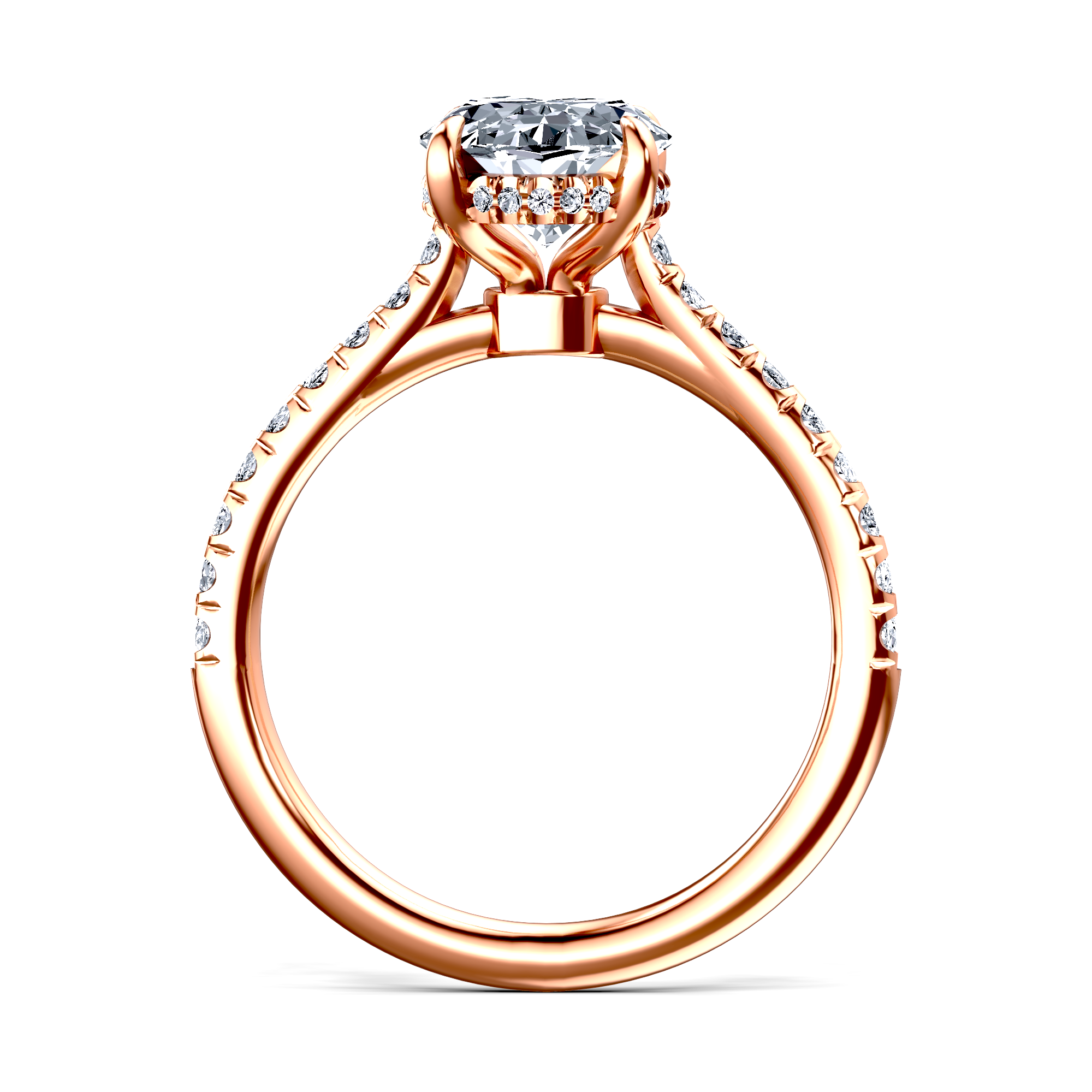 Image for The Althea
