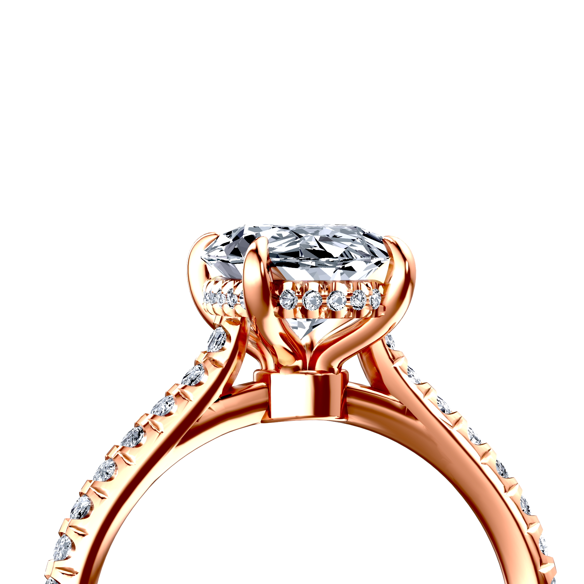 Image for The Althea