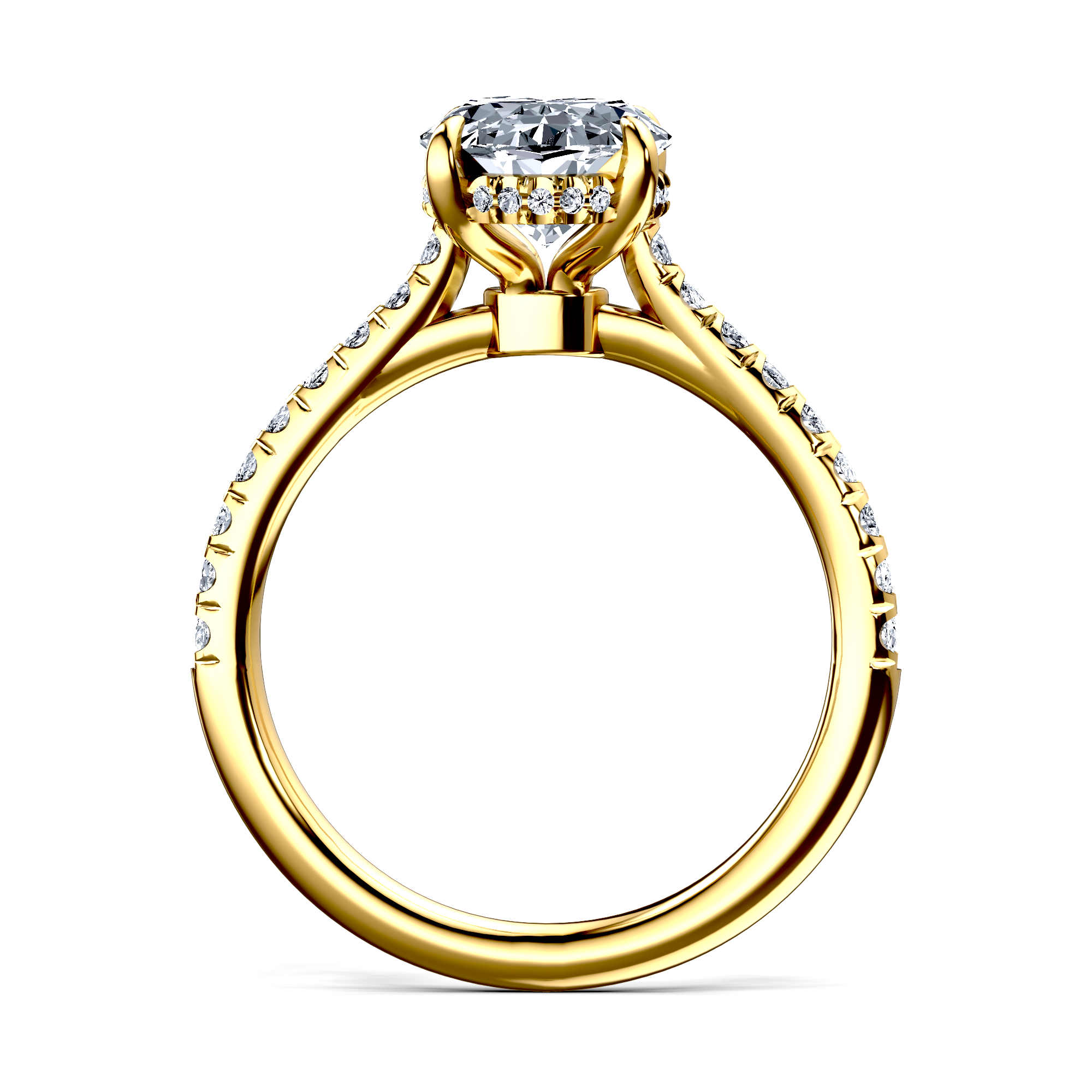 Image for The Althea