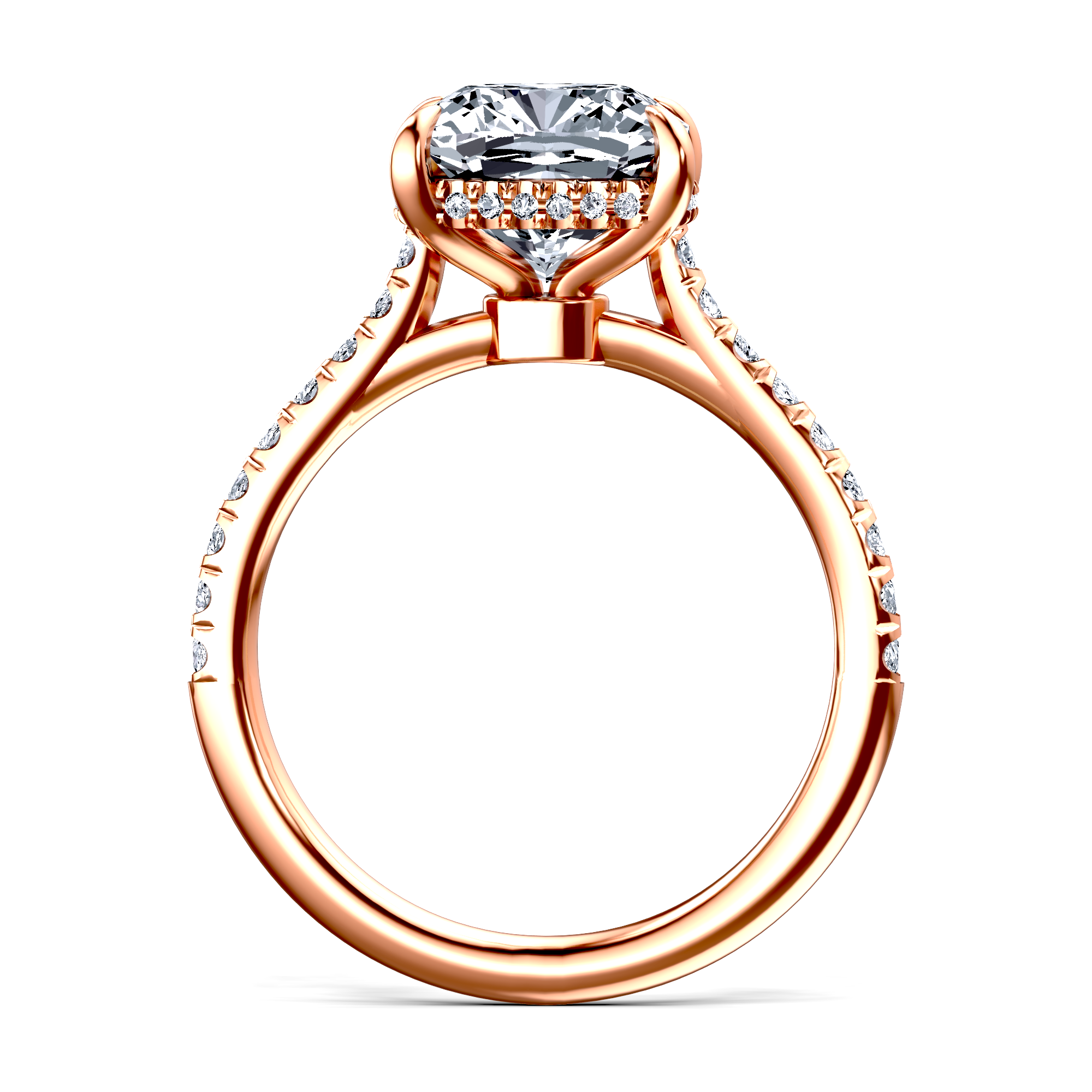 Image for The Althea
