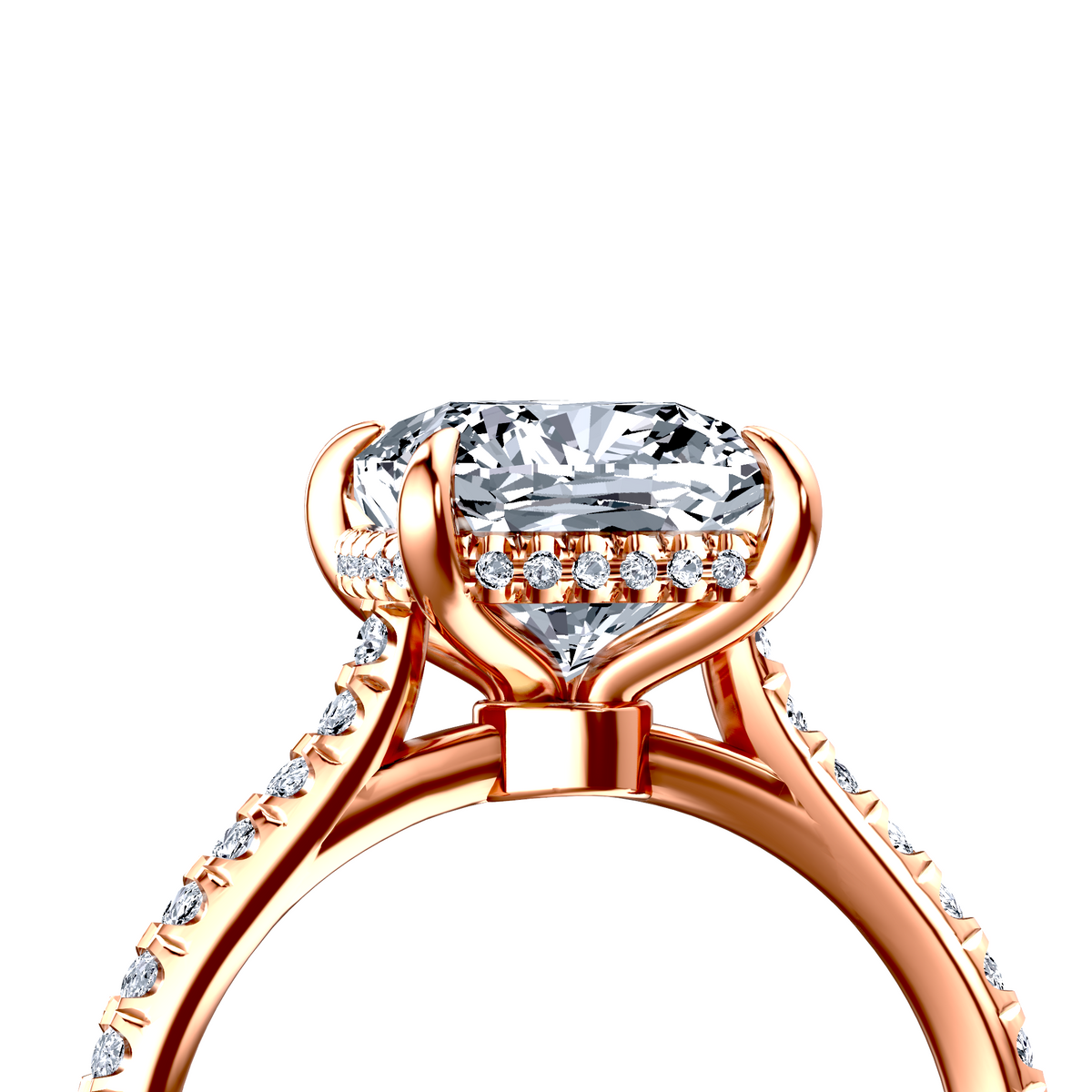 Image for The Althea